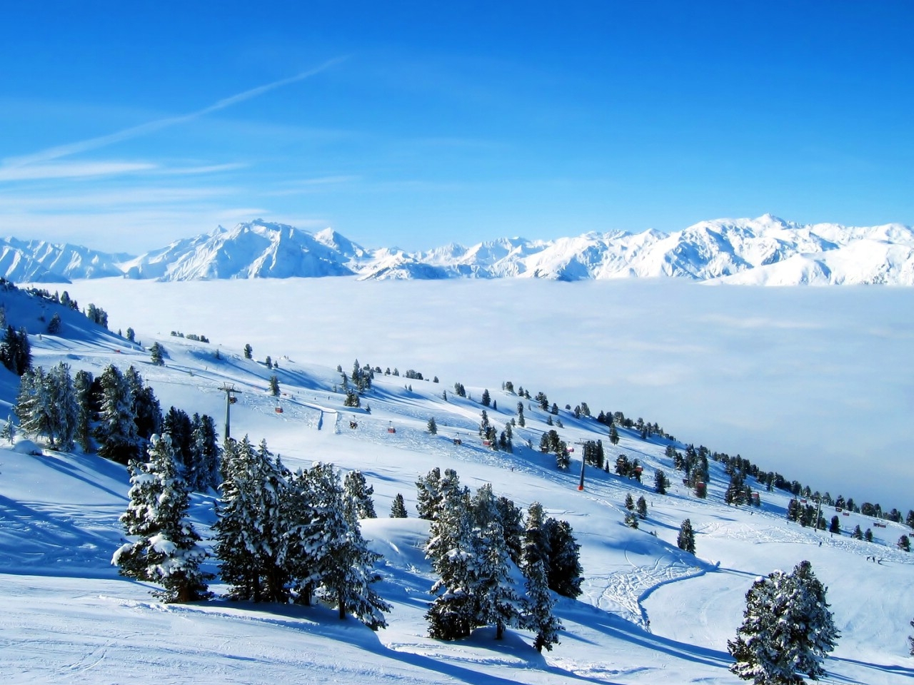 無料モバイル壁紙風景, 木, 山脈, 雪をダウンロードします。
