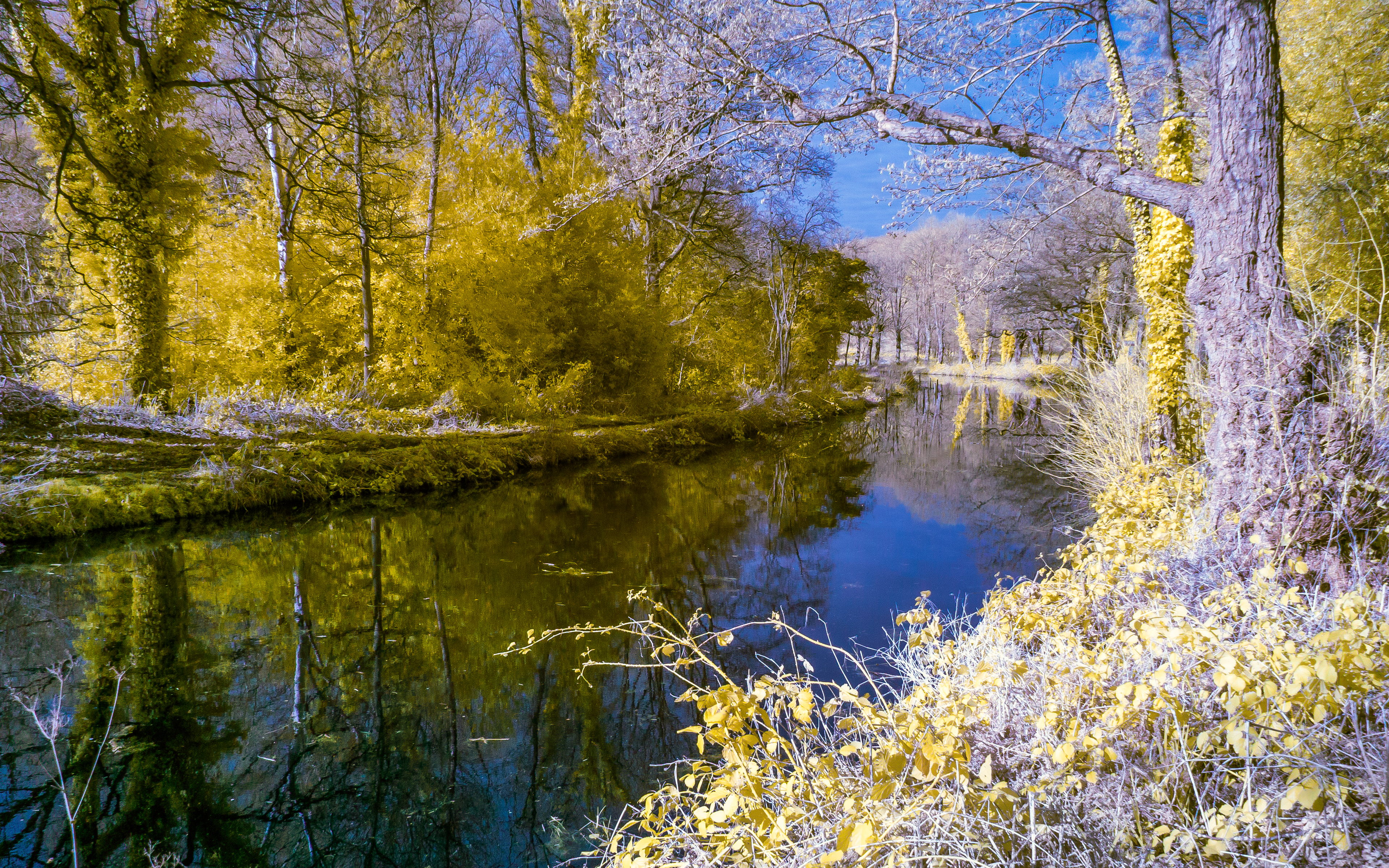 PCデスクトップに自然, 水, 川, 秋, 反射, 森, 地球画像を無料でダウンロード
