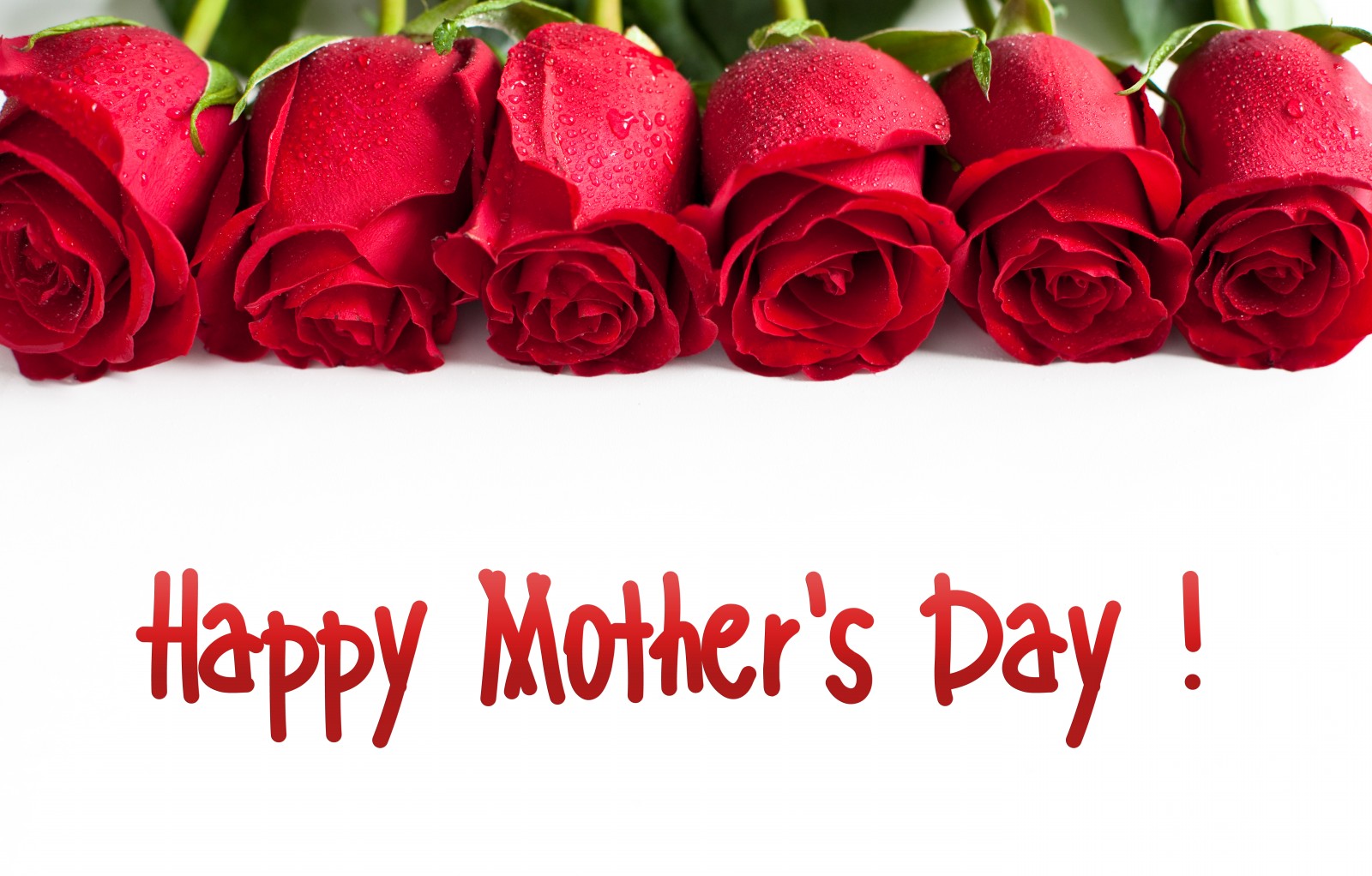 Free download wallpaper Flower, Rose, Holiday, Red Rose, Mother's Day on your PC desktop