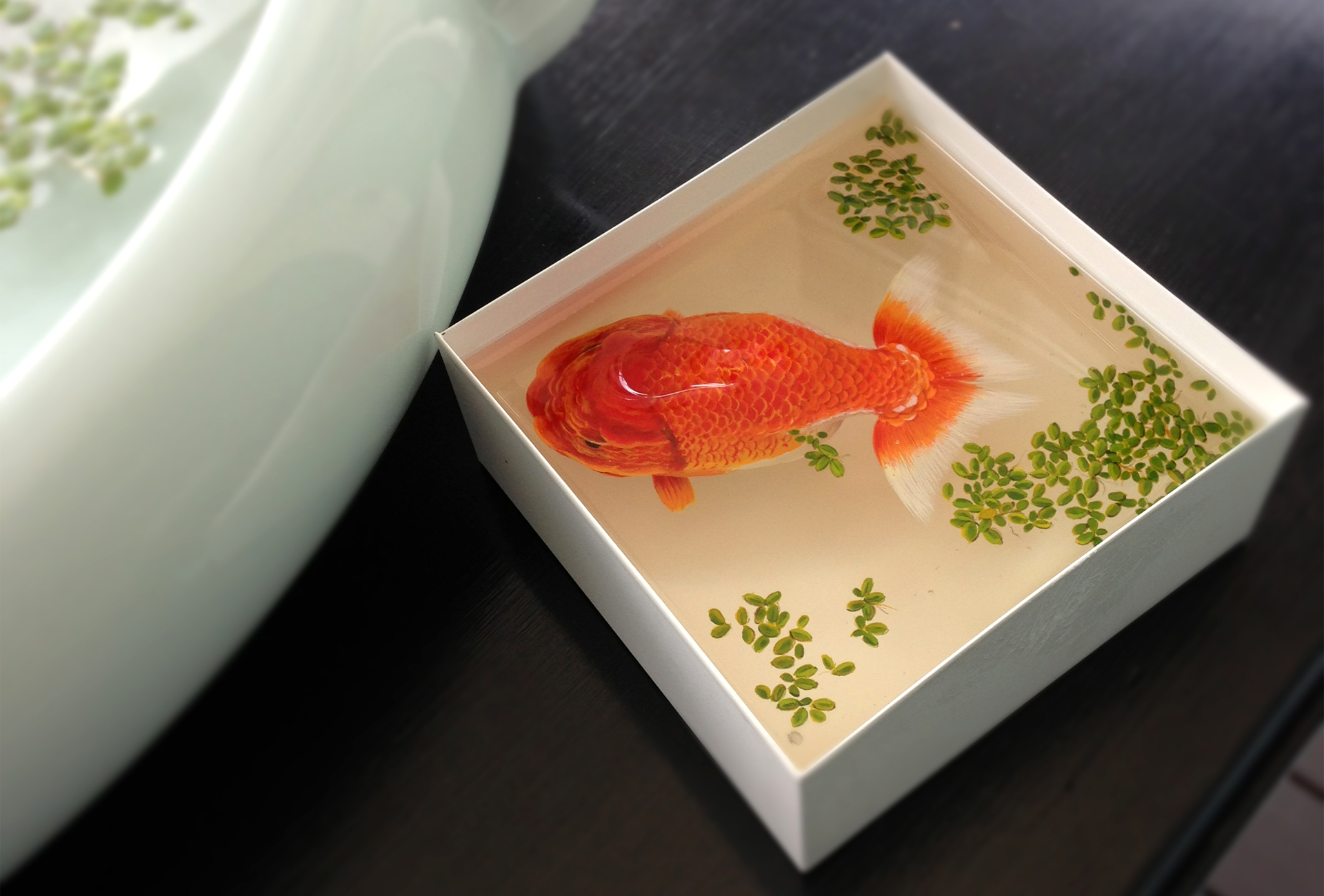 Handy-Wallpaper Goldfische, Fisch, Tiere kostenlos herunterladen.