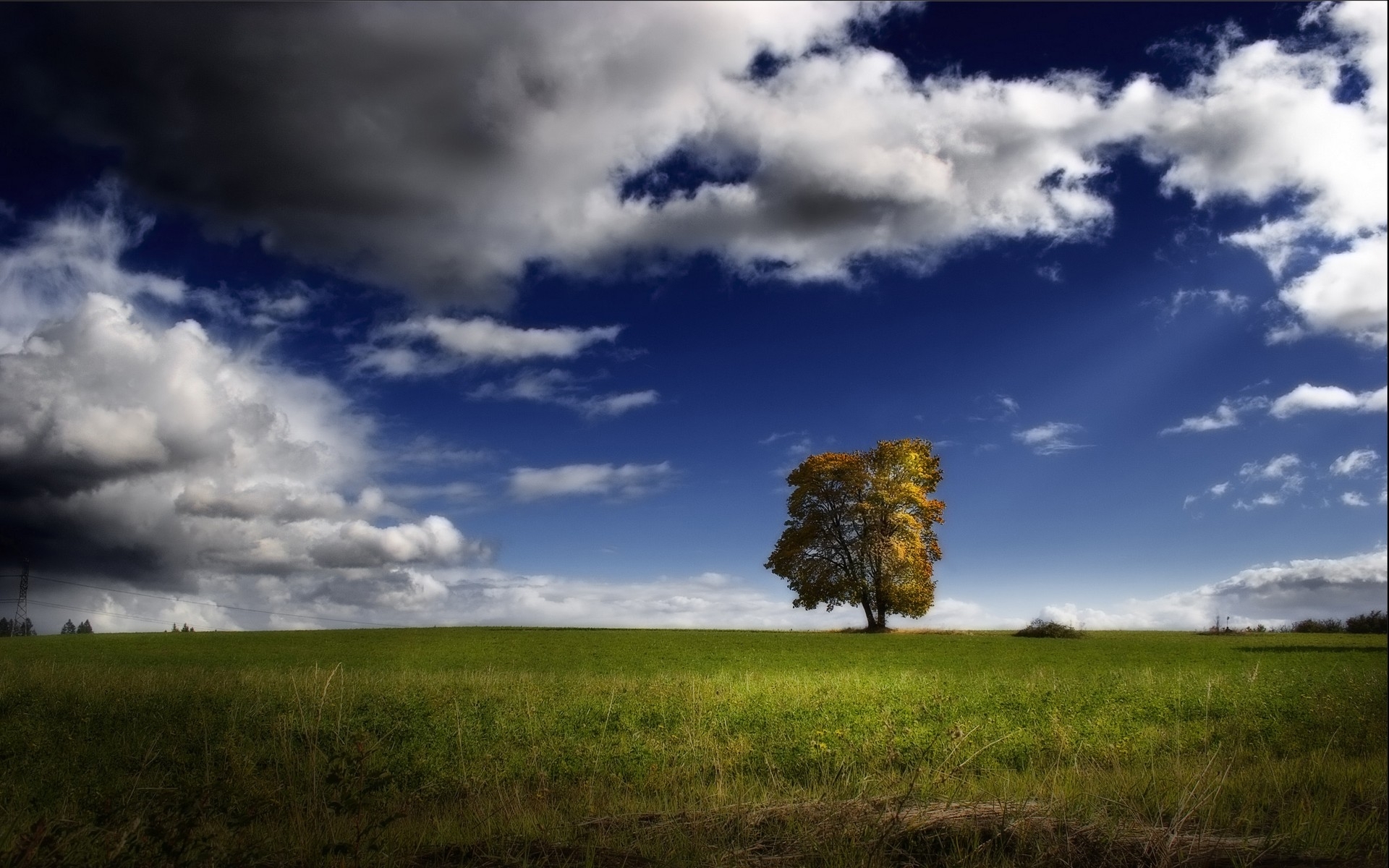 Free download wallpaper Landscape, Trees, Sky on your PC desktop