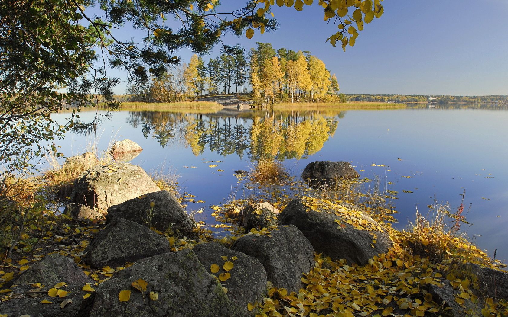 trees, island, autumn, birches, nature, stones, leaves, lake, shore, shores, islet