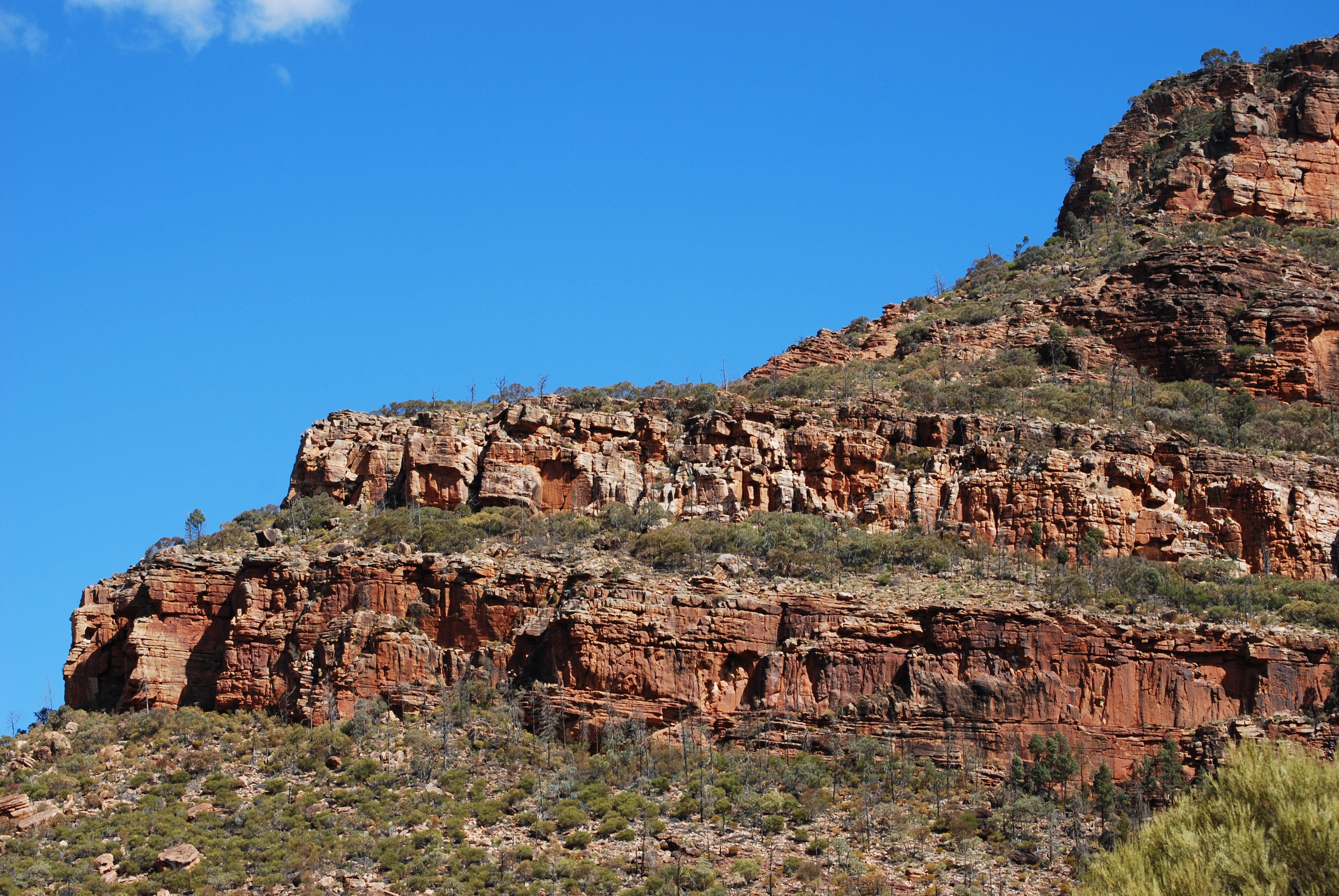 Die besten Flinders Ranges-Hintergründe für den Telefonbildschirm