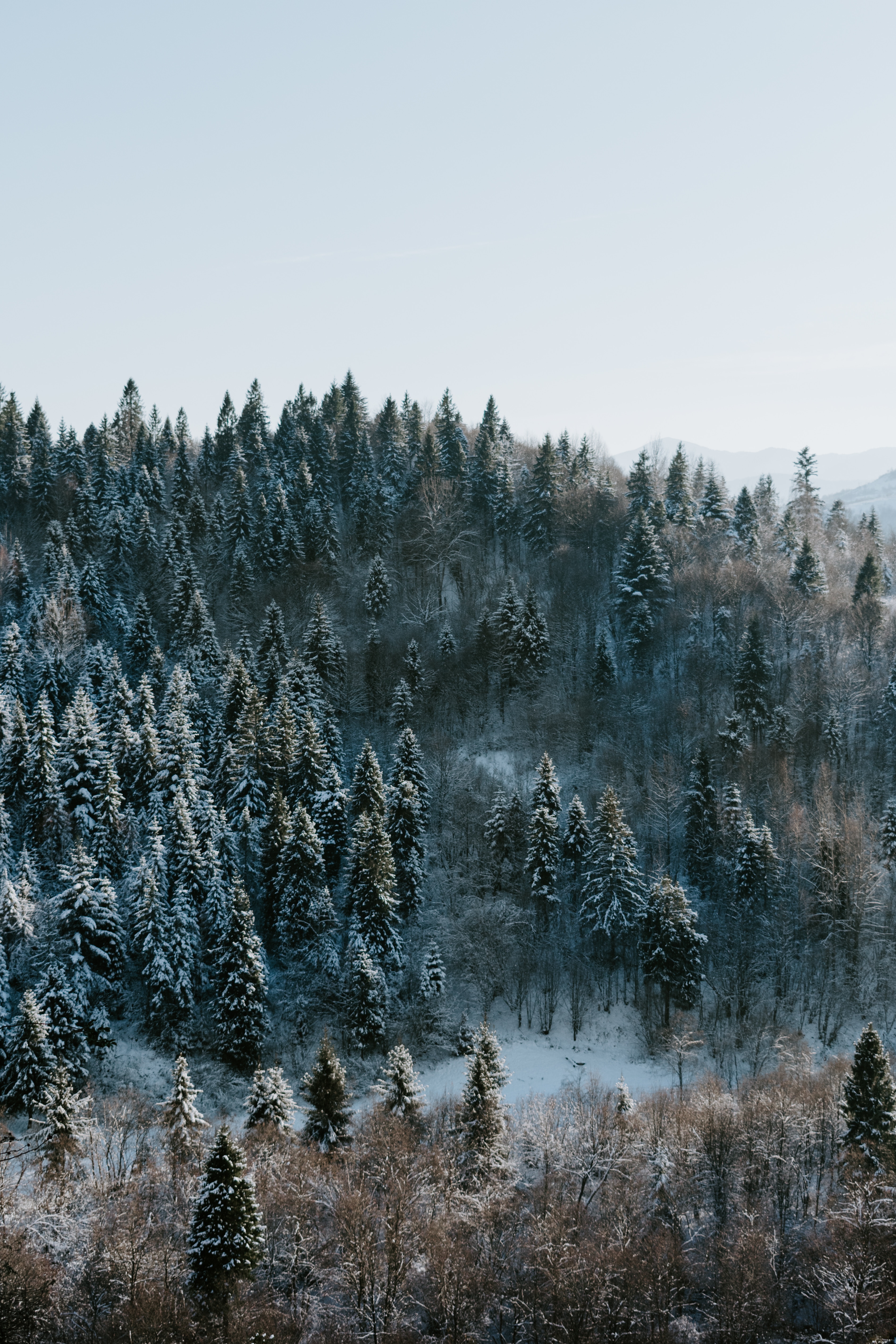 Free download wallpaper Winter, Trees, View From Above, Forest, Snowbound, Snow Covered, Nature on your PC desktop
