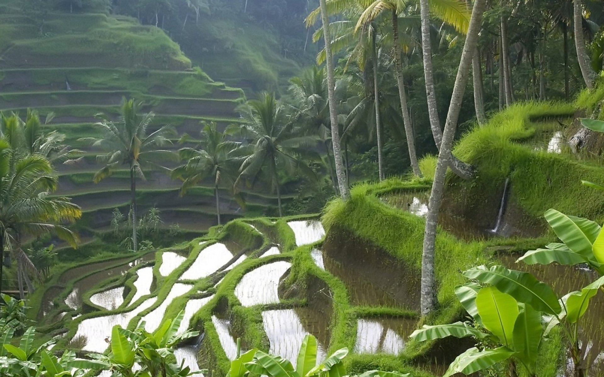 Handy-Wallpaper Landschaft, Erde/natur kostenlos herunterladen.