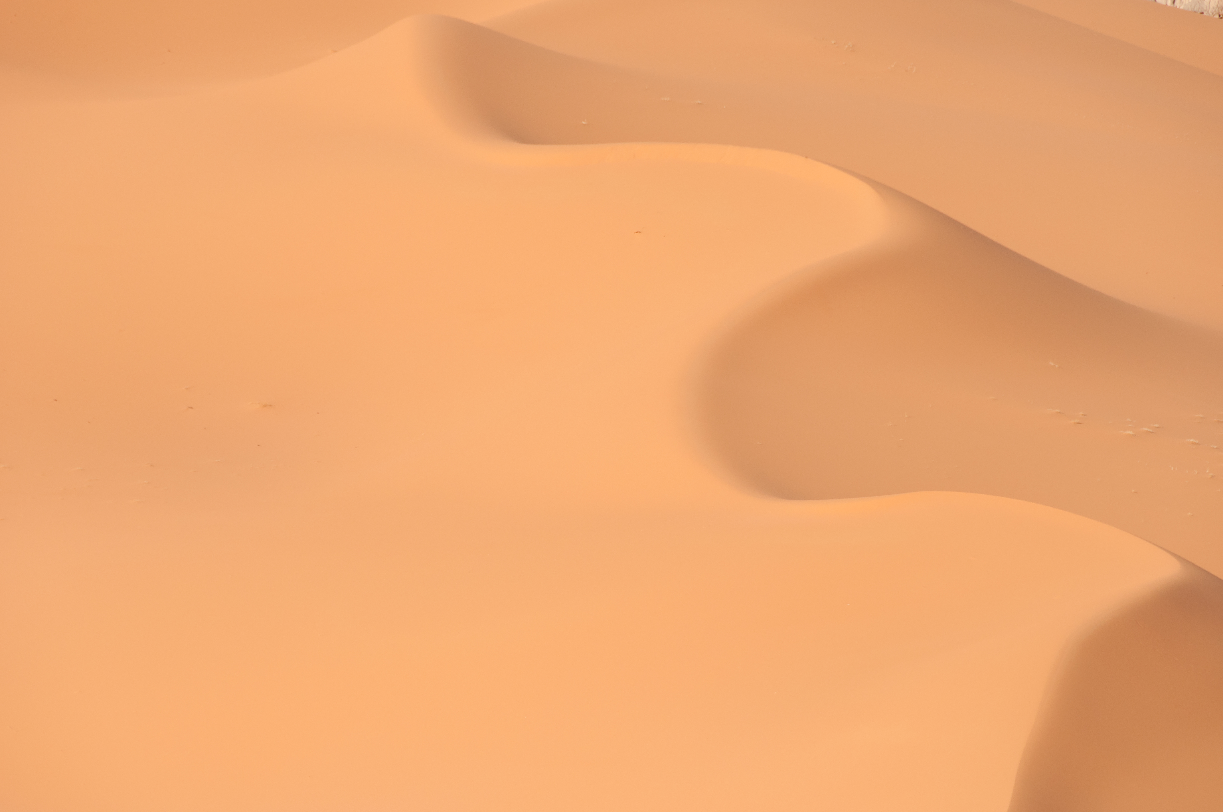 Download mobile wallpaper Landscape, Sand, Desert, Earth, Sahara, Africa, Algeria for free.