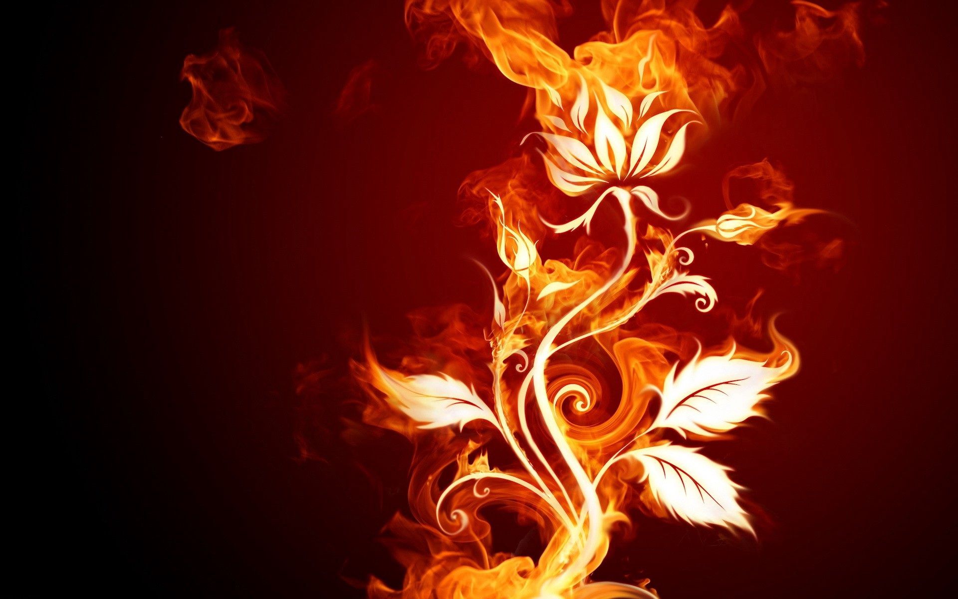 78601 скачать обои роза, узоры, пламя, фон, огонь, абстракция - заставки и картинки бесплатно