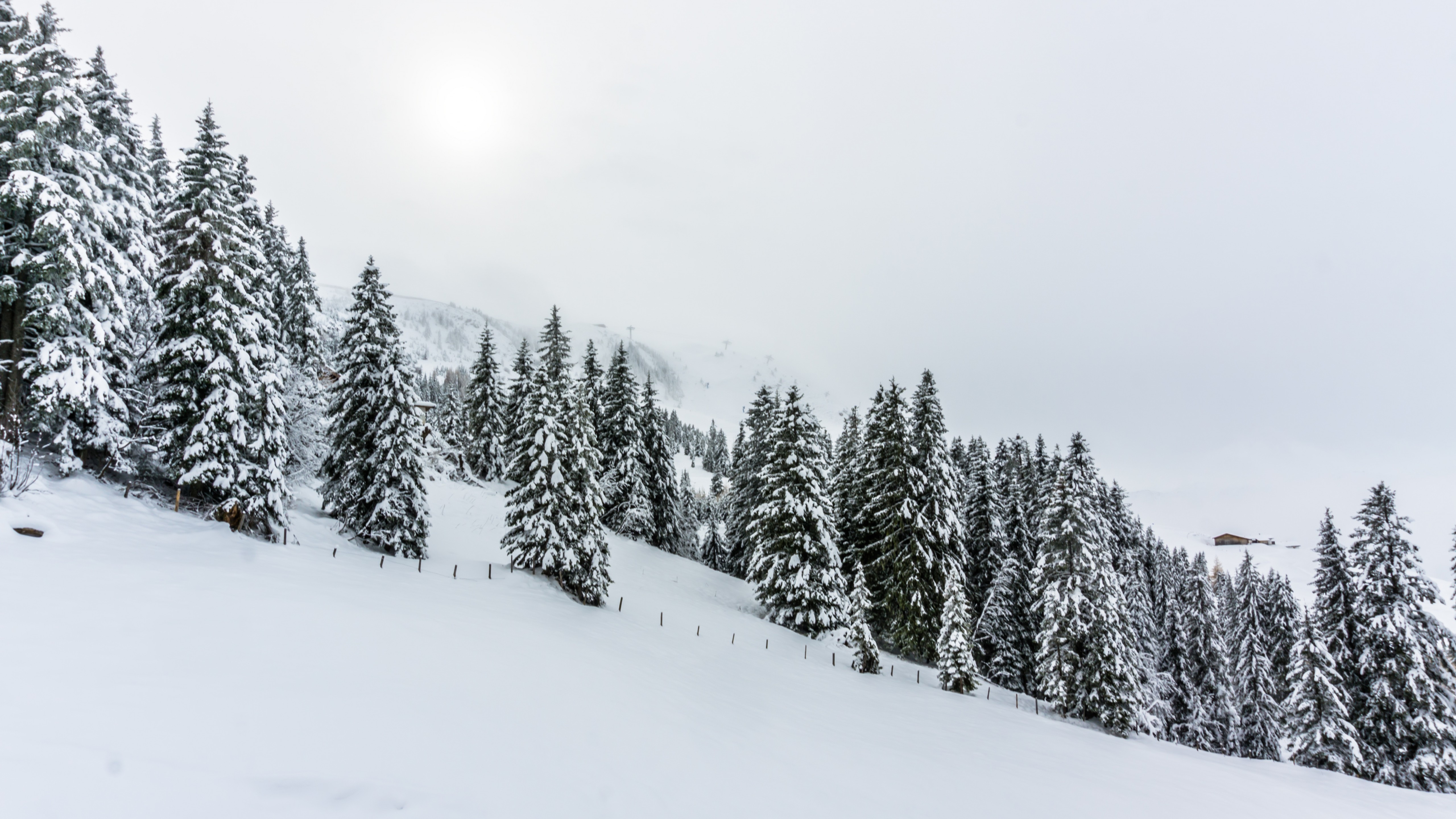 Скачать обои бесплатно Зима, Снег, Лес, Земля/природа картинка на рабочий стол ПК