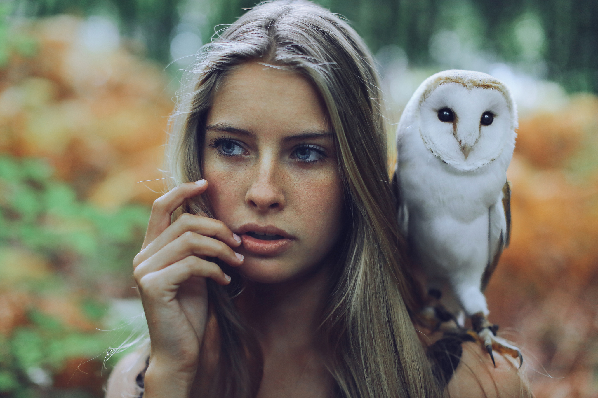 Laden Sie das Eule, Modell, Frauen, Blaue Augen, Blondinen-Bild kostenlos auf Ihren PC-Desktop herunter