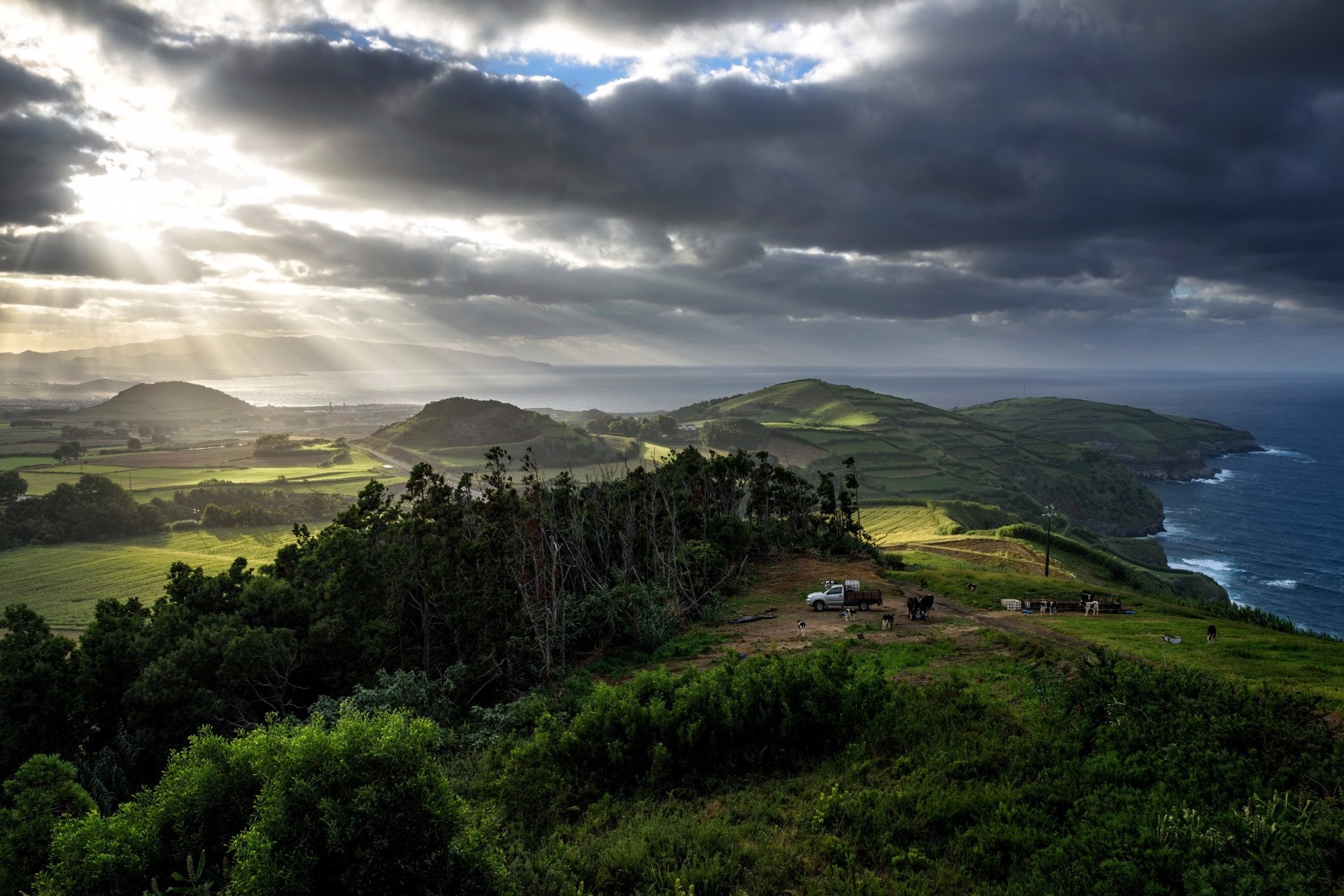 Laden Sie das Horizont, Küste, Baum, Ozean, Erde, Wolke, Fotografie, Meer, Sonnenstrahl-Bild kostenlos auf Ihren PC-Desktop herunter