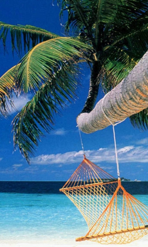 Скачати мобільні шпалери Океан, Пальма, Тропічний, Фотографія, Пляжний безкоштовно.