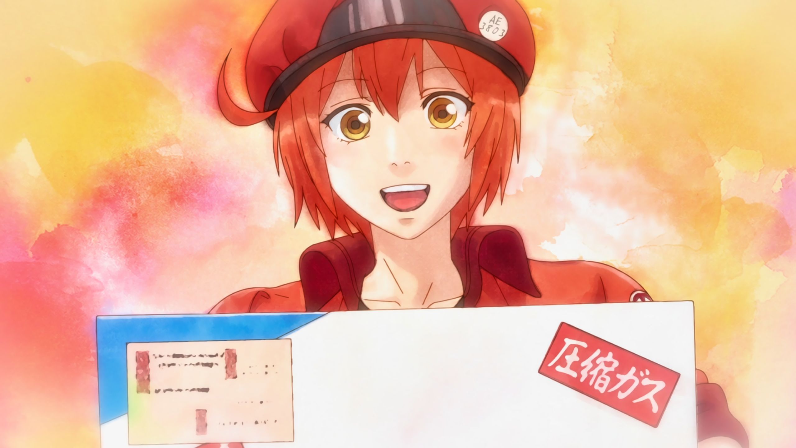anime, cells at work!, ae3803 (cells at work)