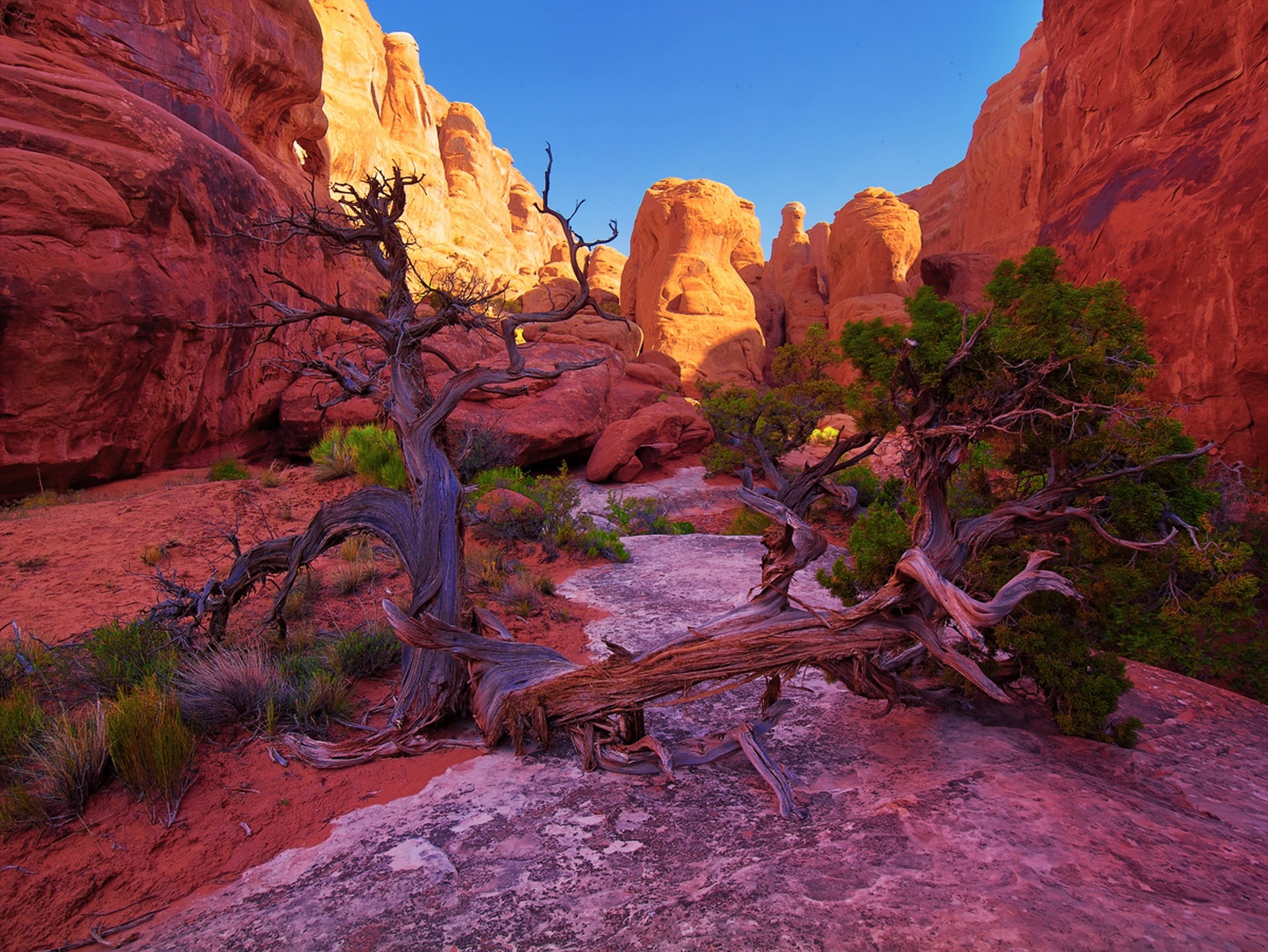 Laden Sie das Klippe, Erde/natur-Bild kostenlos auf Ihren PC-Desktop herunter