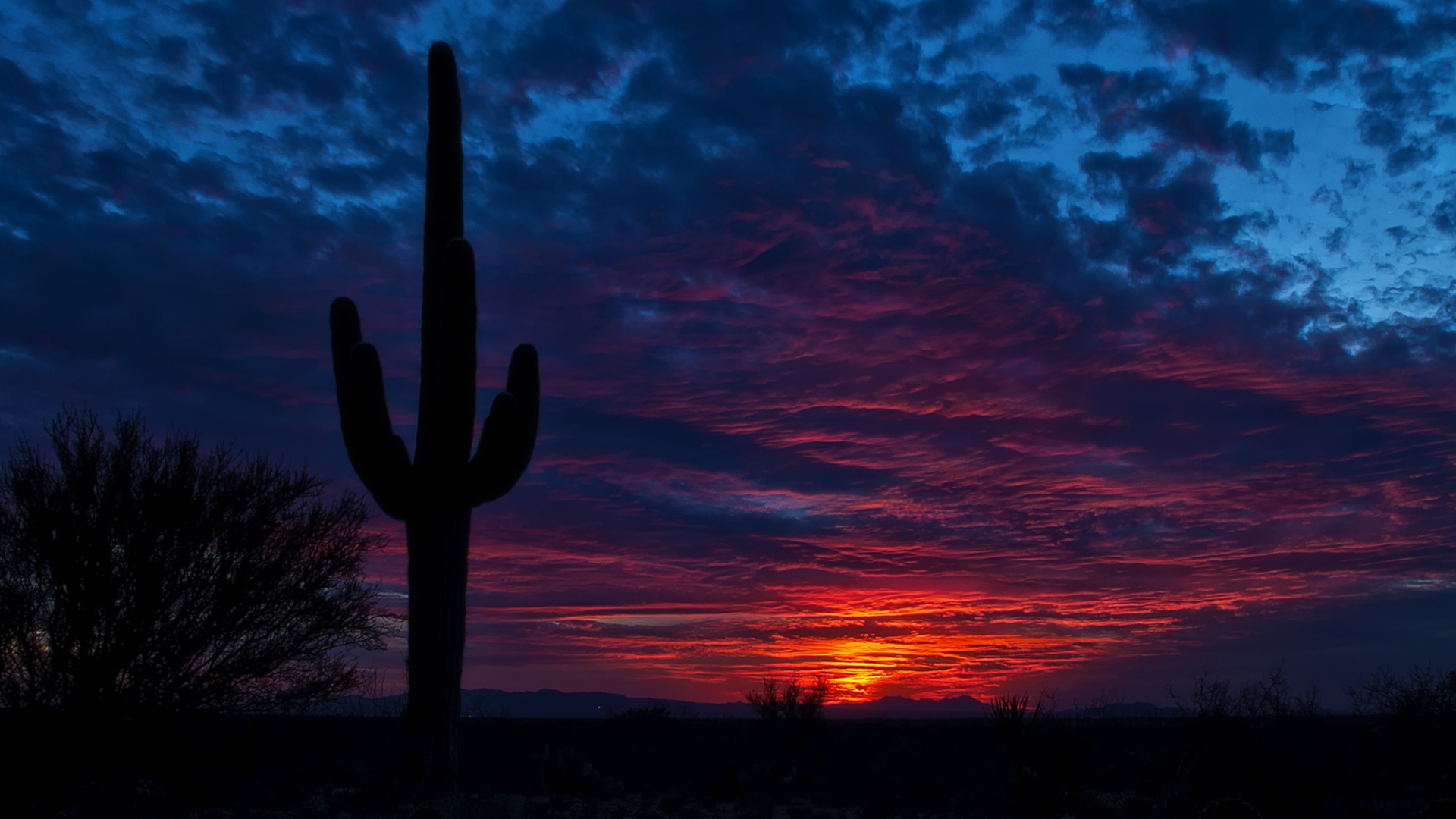 Free download wallpaper Sunset, Sky, Desert, Bush, Silhouette, Earth, Cactus, Cloud on your PC desktop