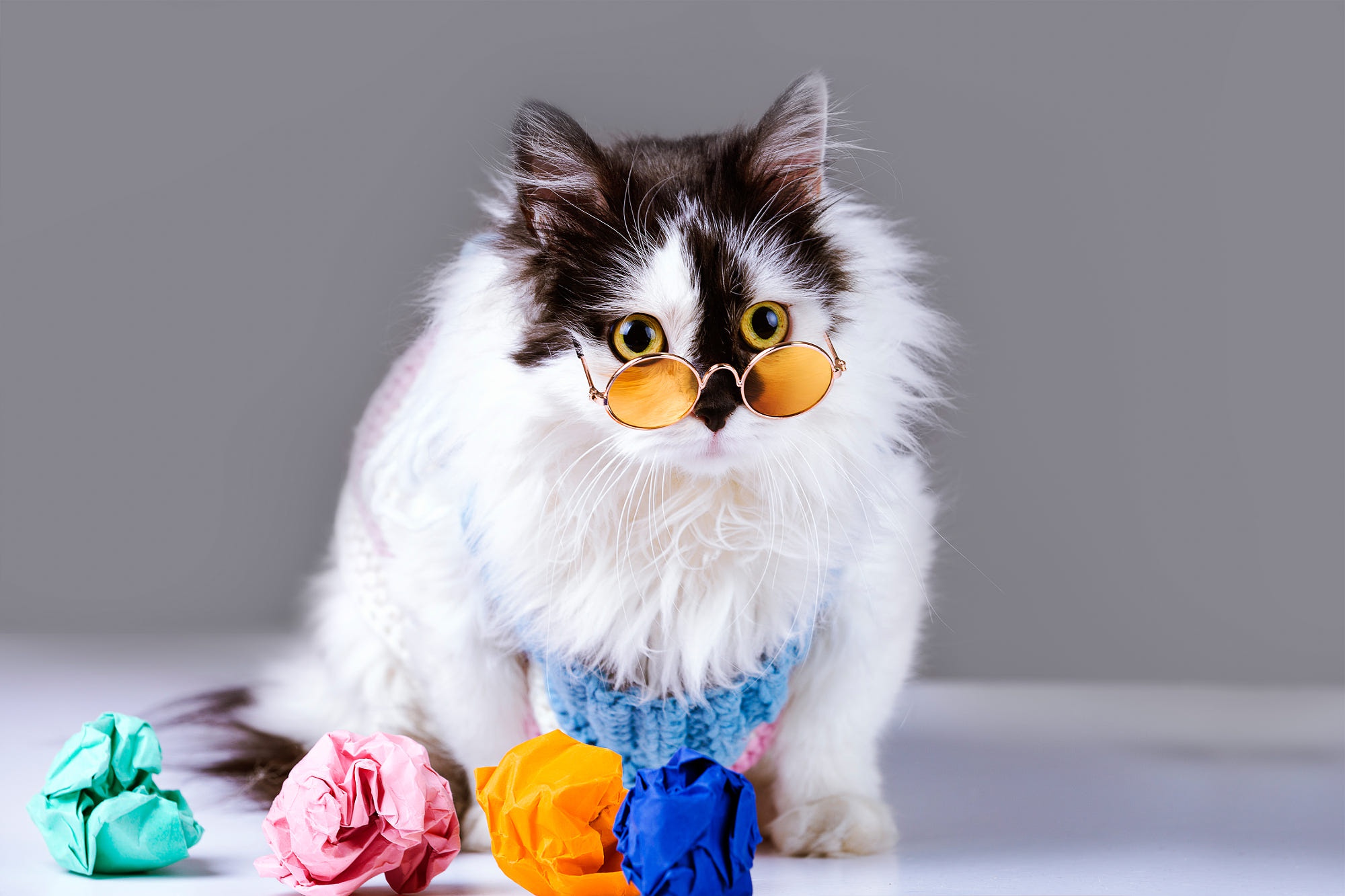 Download mobile wallpaper Cats, Cat, Animal, Sunglasses for free.