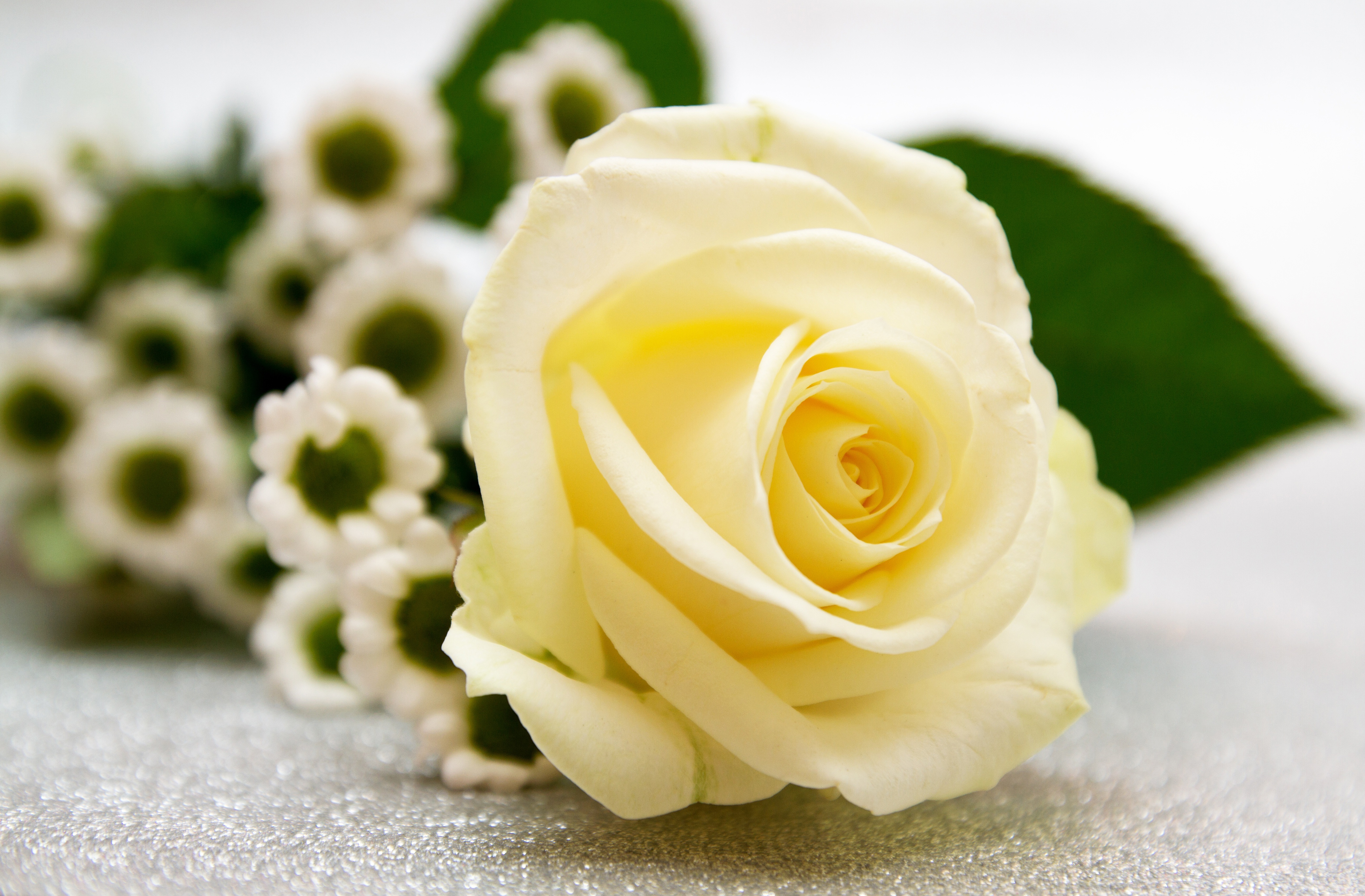 Téléchargez gratuitement l'image Rose, Chrysanthème, Fleur, Bouquet, Construction Humaine sur le bureau de votre PC