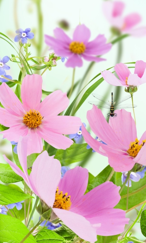Handy-Wallpaper Blumen, Blume, Libelle, Künstlerisch, Pinke Blume kostenlos herunterladen.