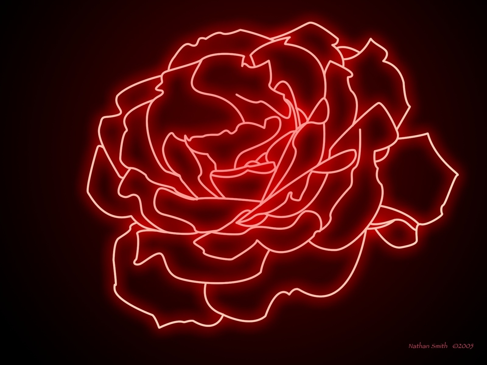 Laden Sie das Blumen, Rose, Erde/natur-Bild kostenlos auf Ihren PC-Desktop herunter