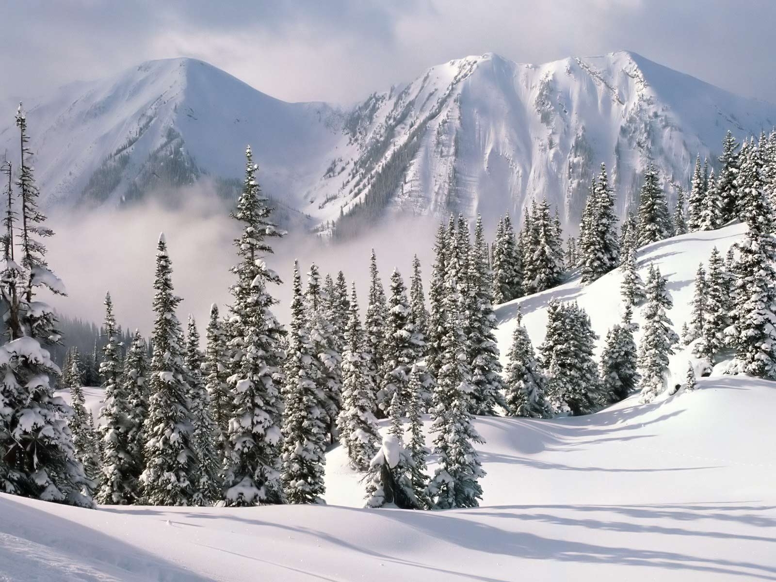 Descarga gratis la imagen Invierno, Árboles, Montañas, Abetos, Paisaje en el escritorio de tu PC