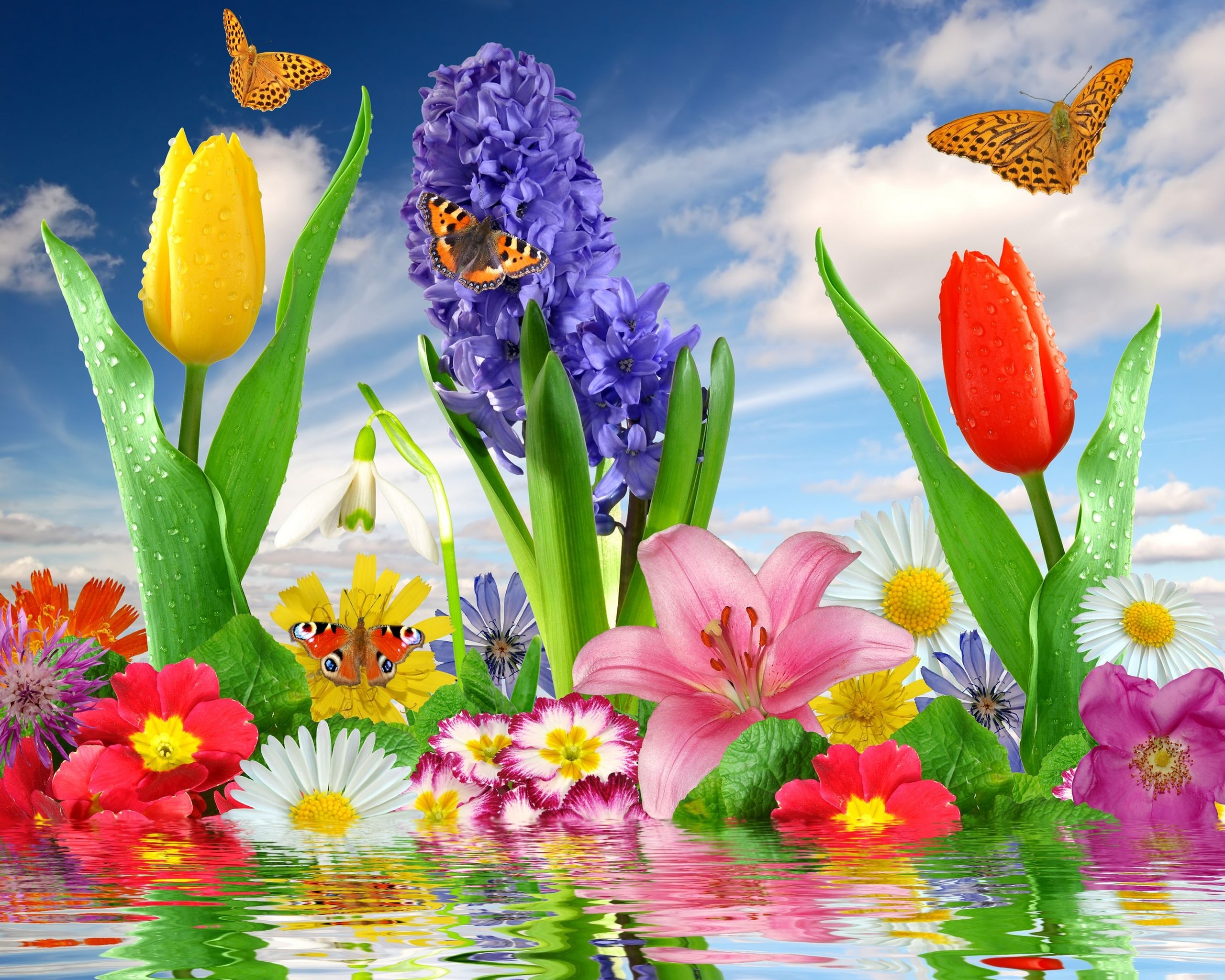 255954 Salvapantallas y fondos de pantalla Flores en tu teléfono. Descarga imágenes de  gratis