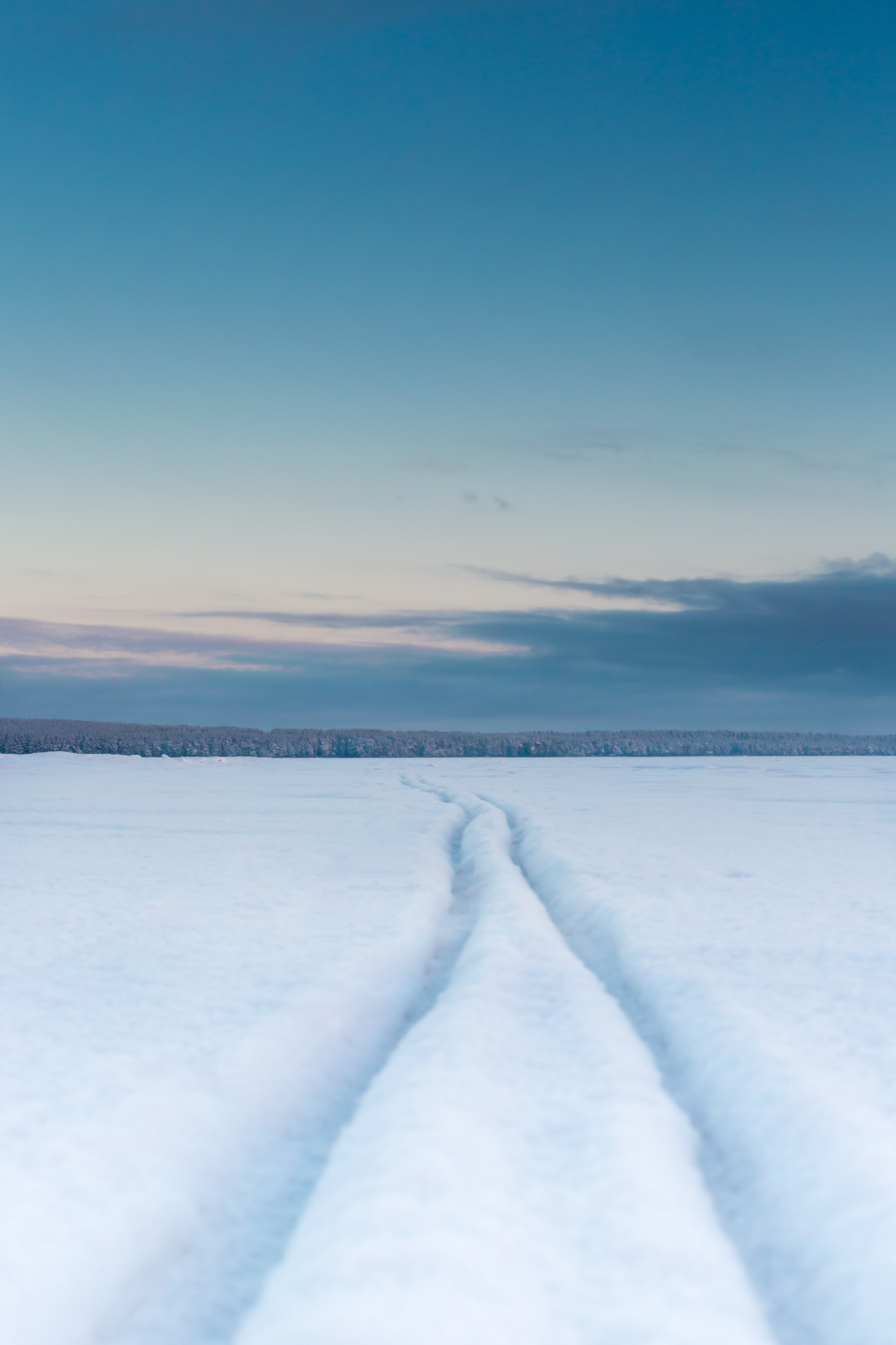 Free download wallpaper Winter, Nature, Snow, Track, Trace, Field on your PC desktop