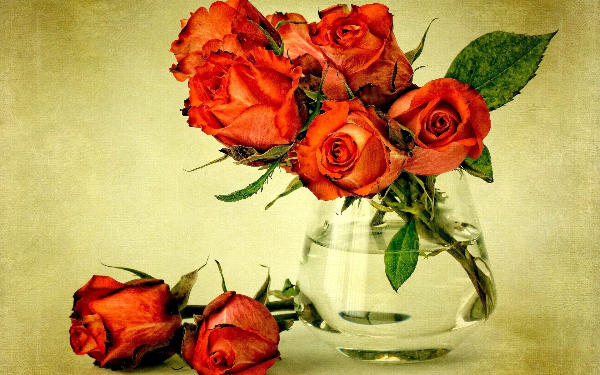 無料モバイル壁紙花, 薔薇, マンメイドをダウンロードします。