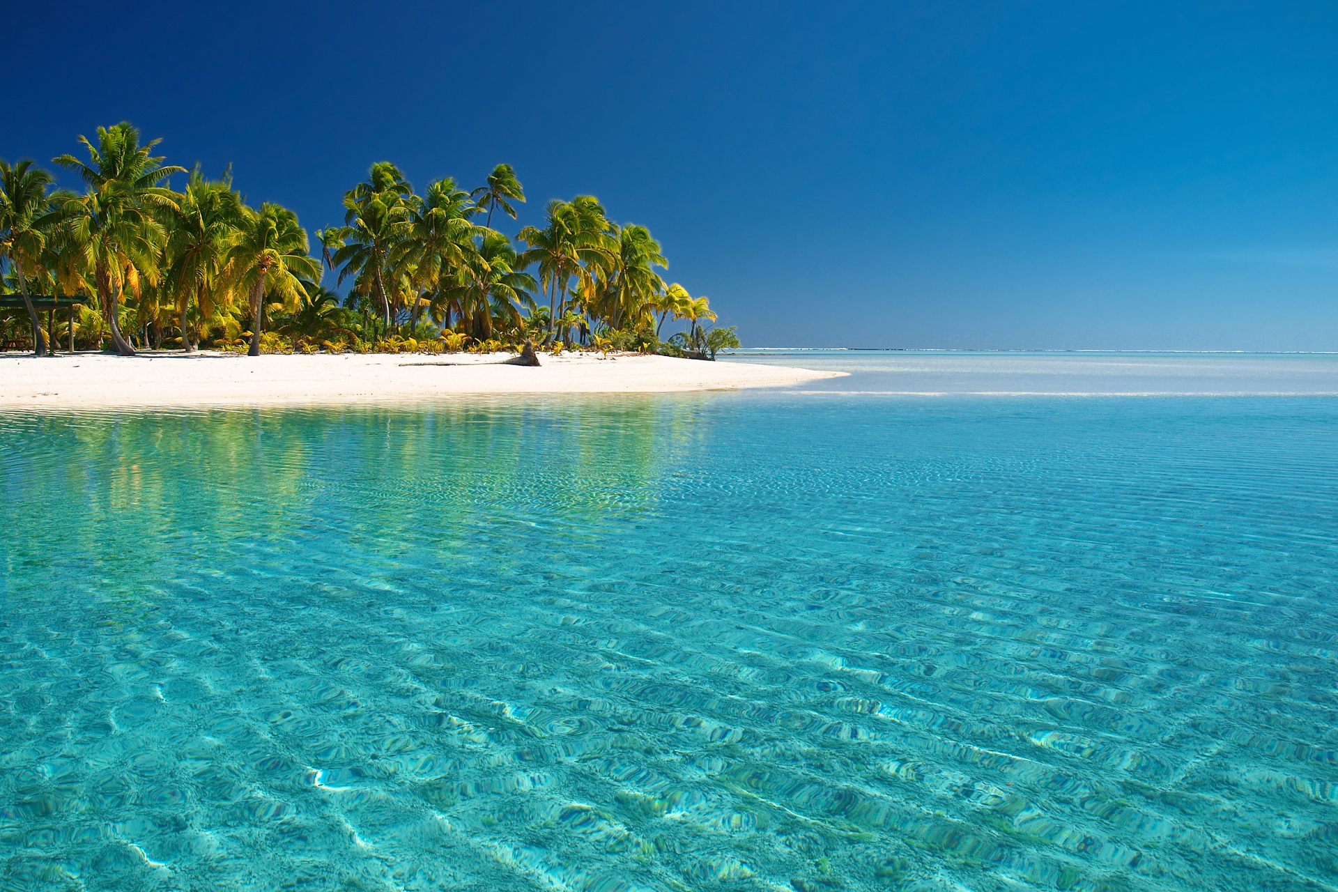 sea, landscape, beach, turquoise, palms