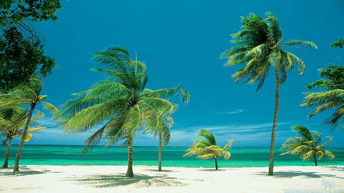 Скачать обои бесплатно Природа, Пляж, Пальма, Земля/природа картинка на рабочий стол ПК