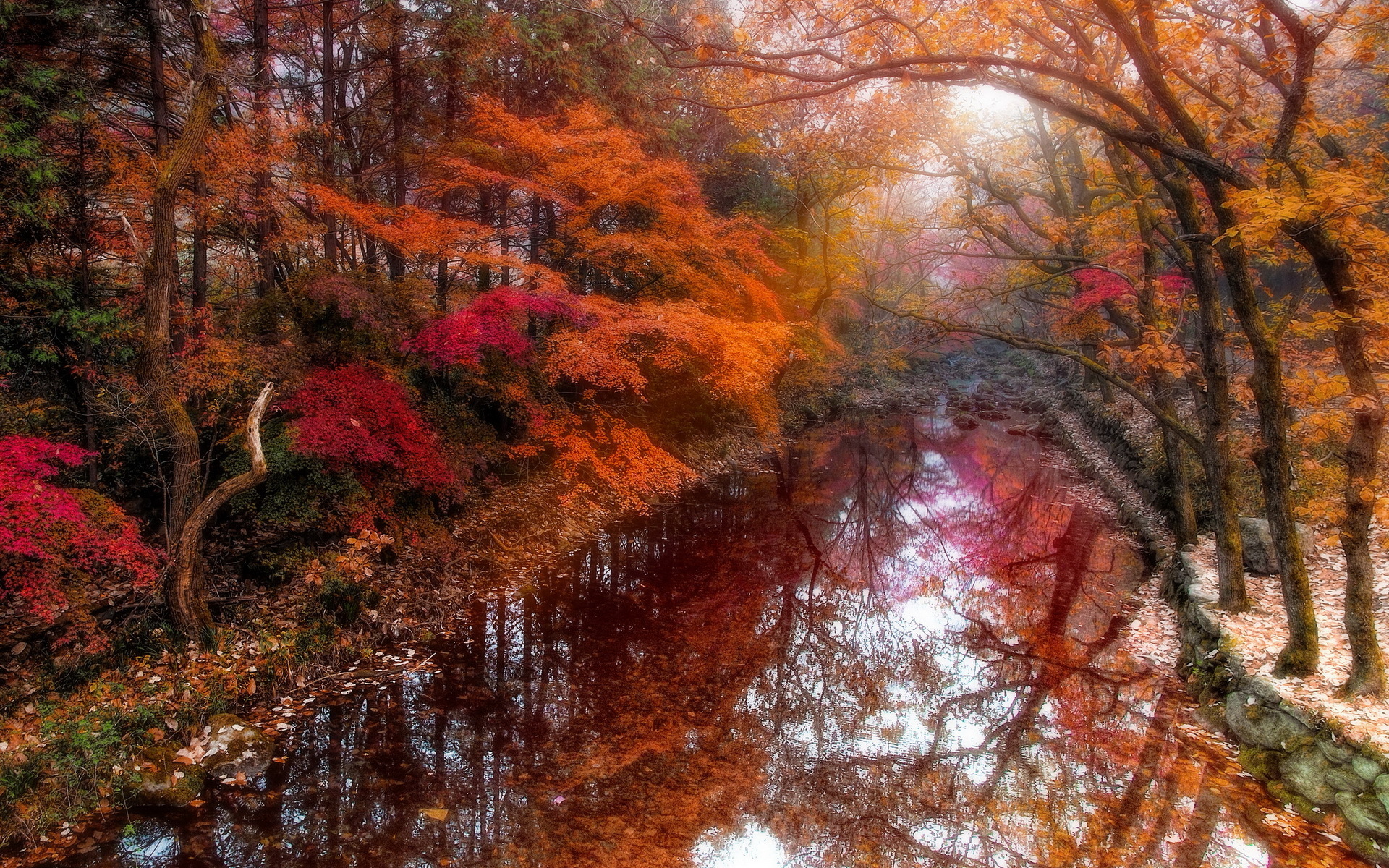 south korea, morning, reflection, fog, earth, fall, forest, jangsung
