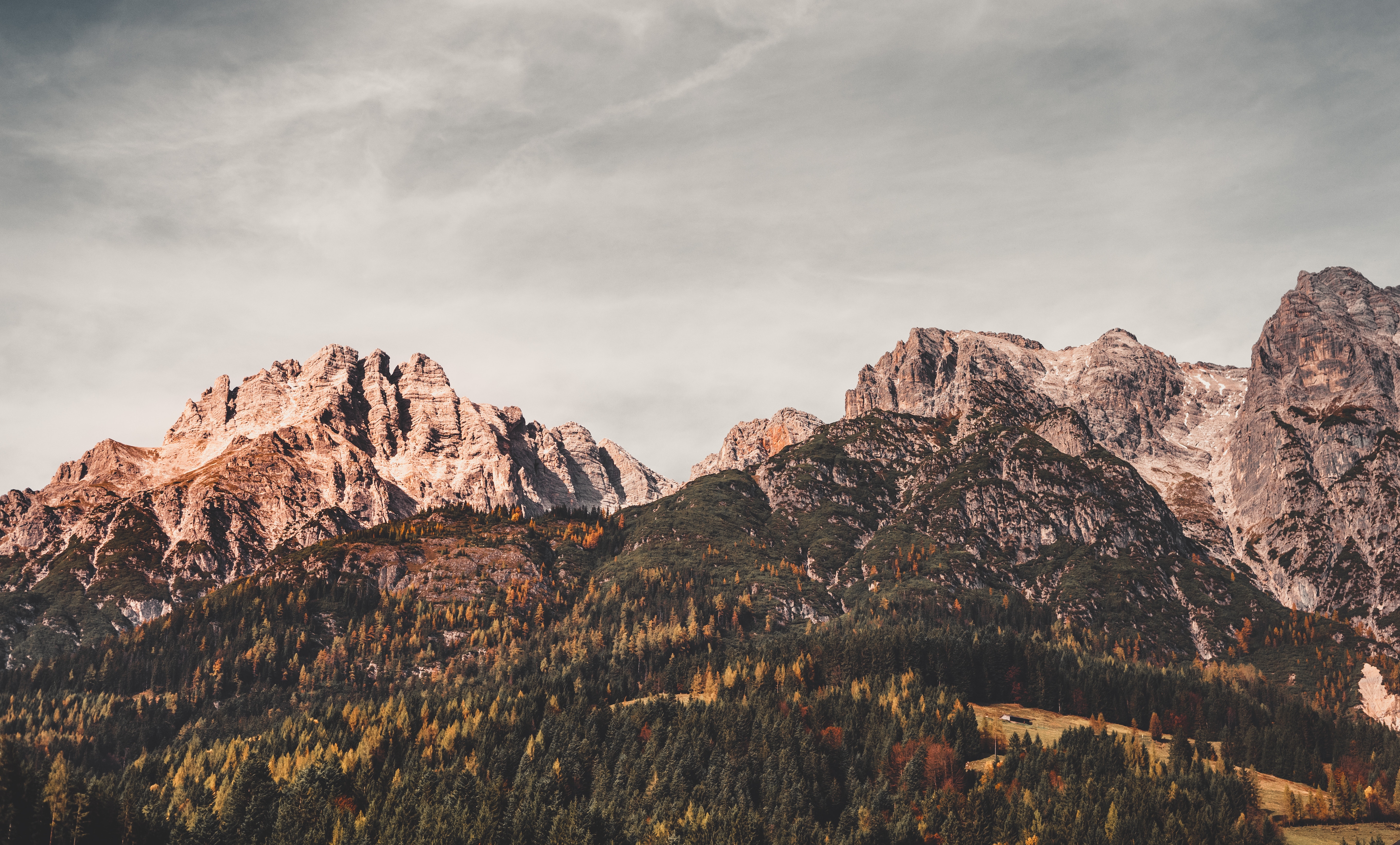 無料モバイル壁紙オーストリア, レオガング, レオガン, 自然, 木, 山脈をダウンロードします。