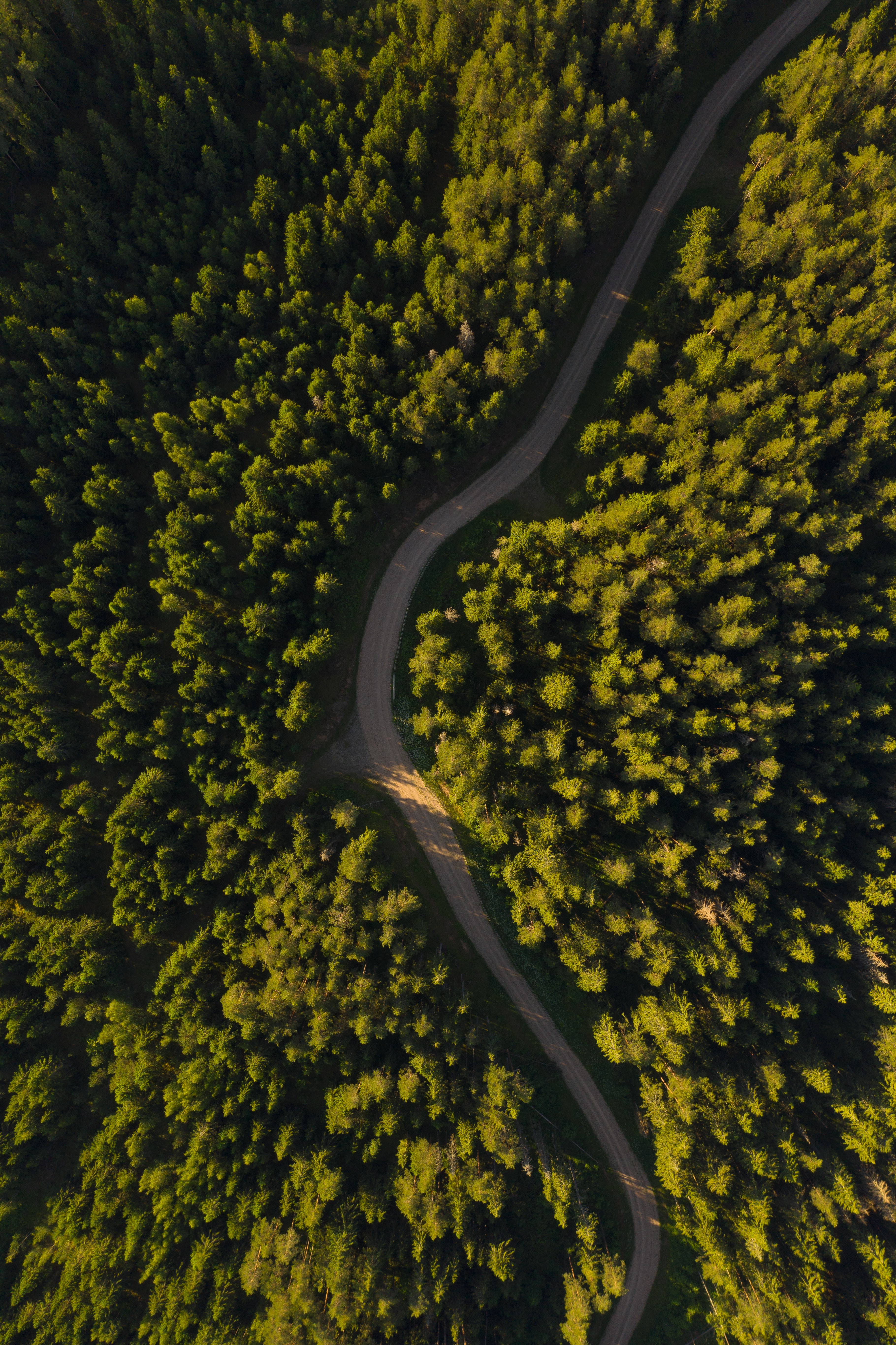 Download mobile wallpaper View From Above, Road, Trees, Forest, Winding, Sinuous, Nature for free.