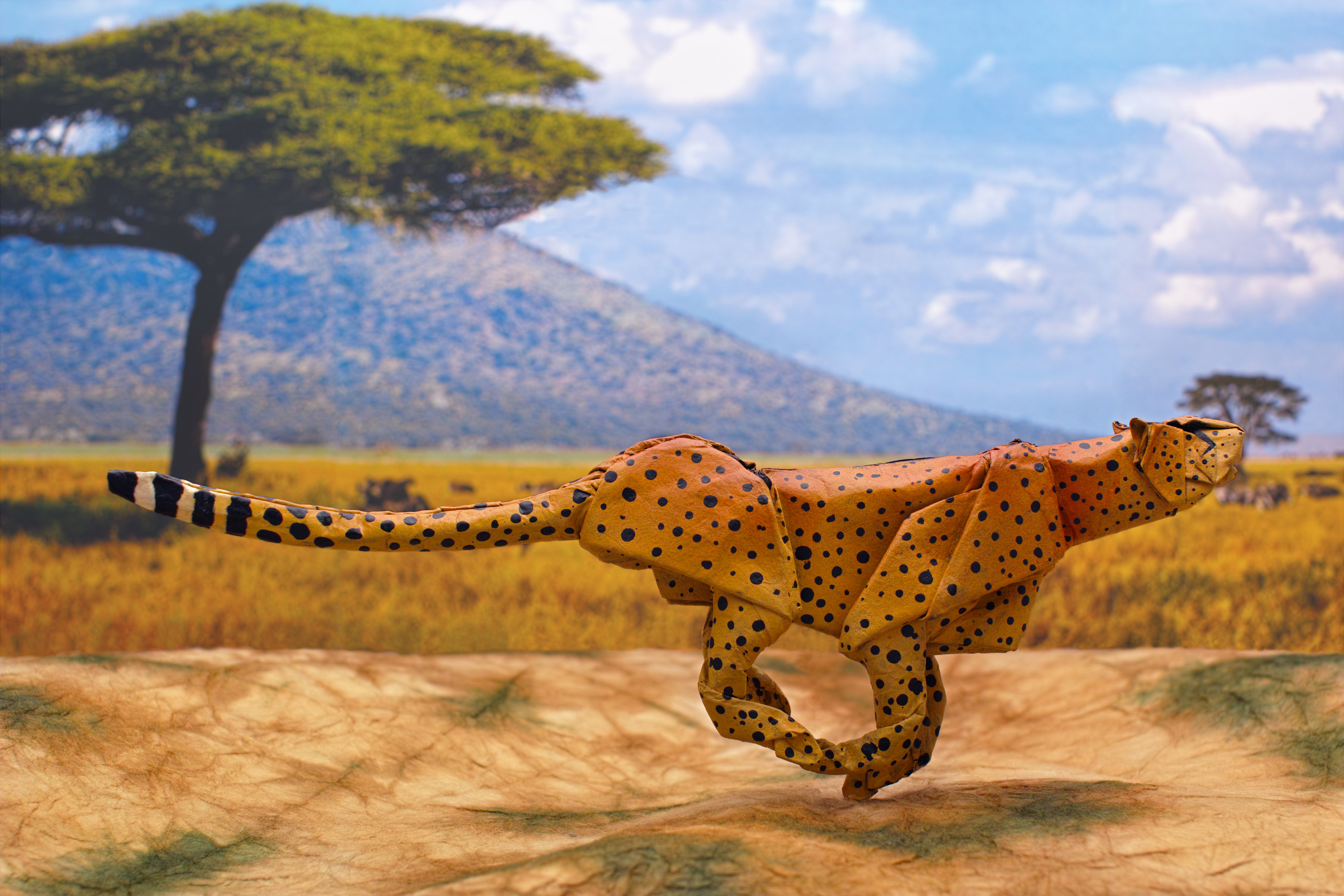 Free download wallpaper Cheetah, Origami, Savannah, Man Made on your PC desktop