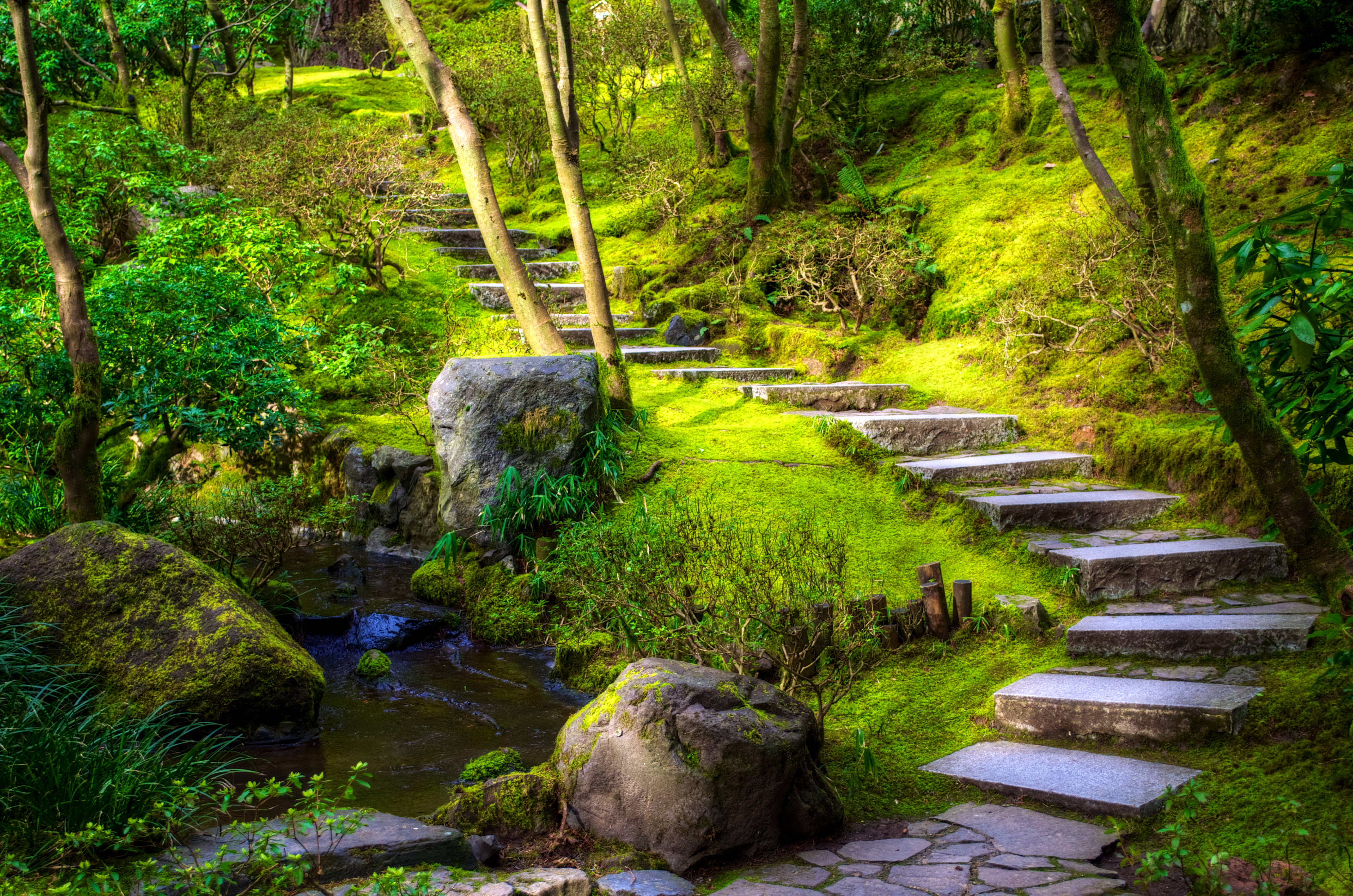 Download mobile wallpaper Nature, Grass, Park, Stairs, Moss, Stream, Photography for free.