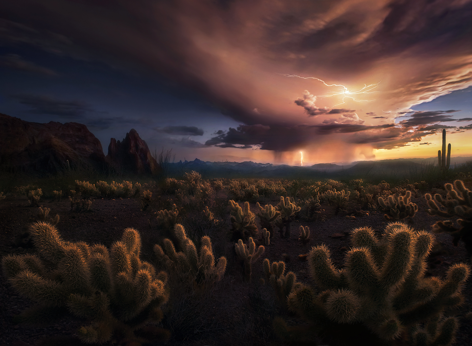 Free download wallpaper Nature, Desert, Earth, Cactus, Storm, Cloud on your PC desktop
