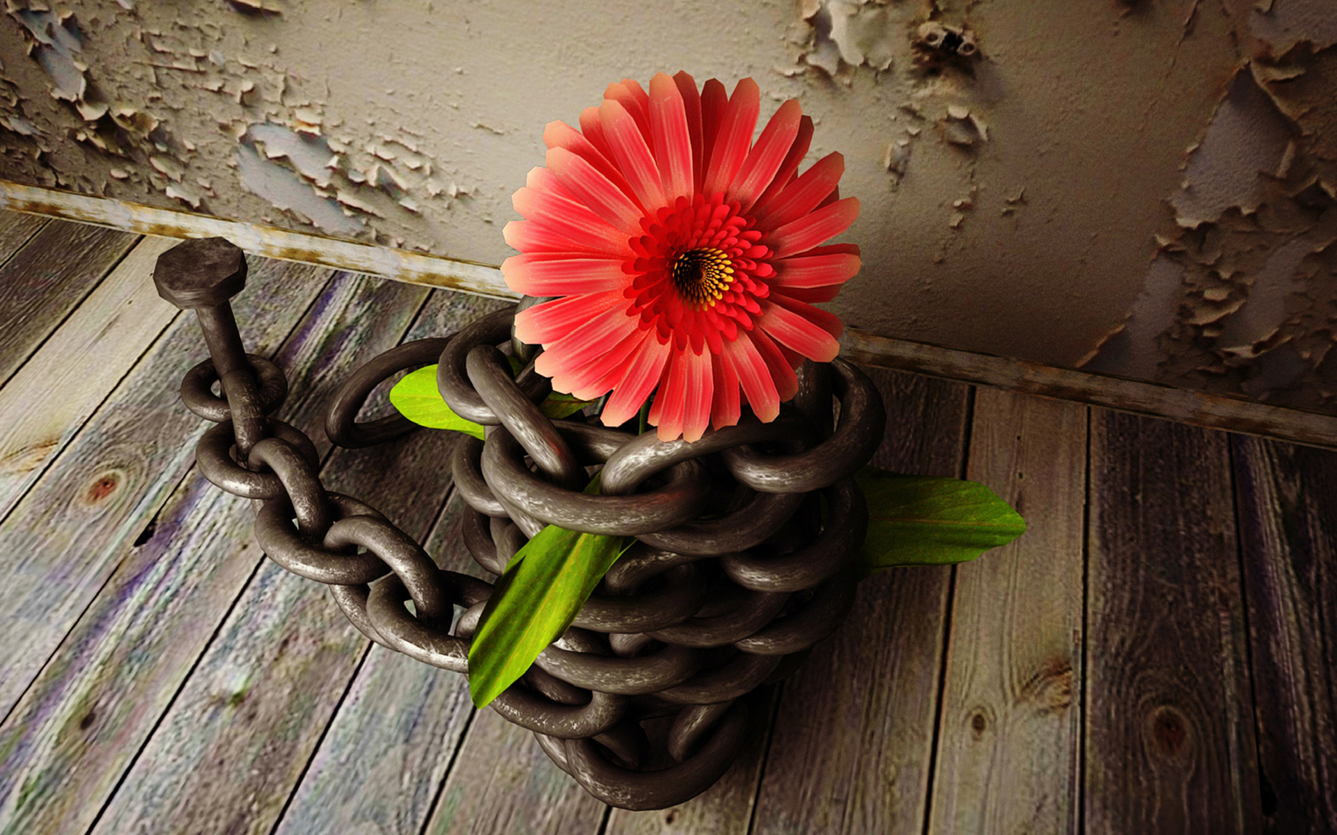 Free download wallpaper Flower, Chain, Red Flower, Man Made on your PC desktop