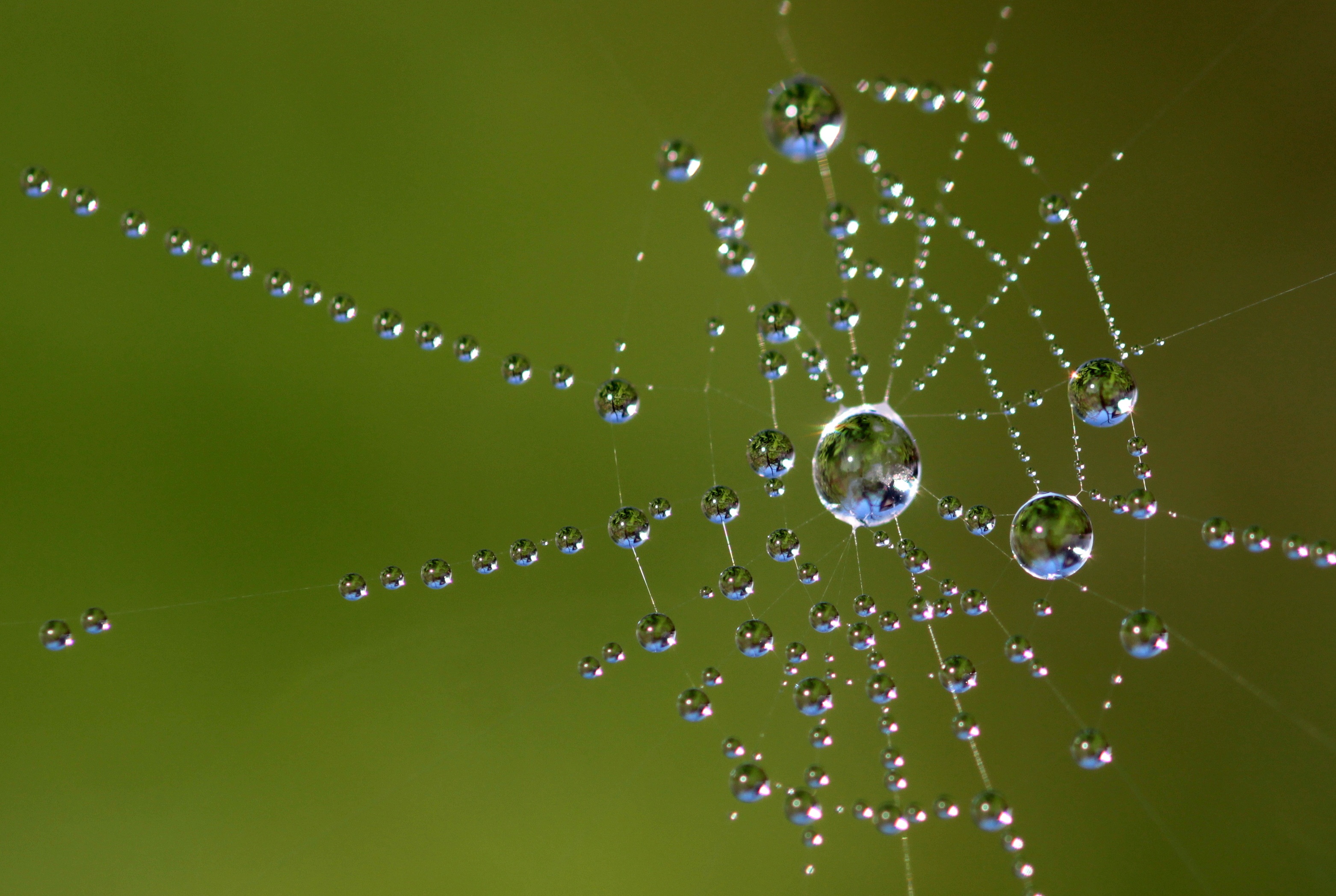 Download mobile wallpaper Macro, Photography, Water Drop, Spider Web for free.