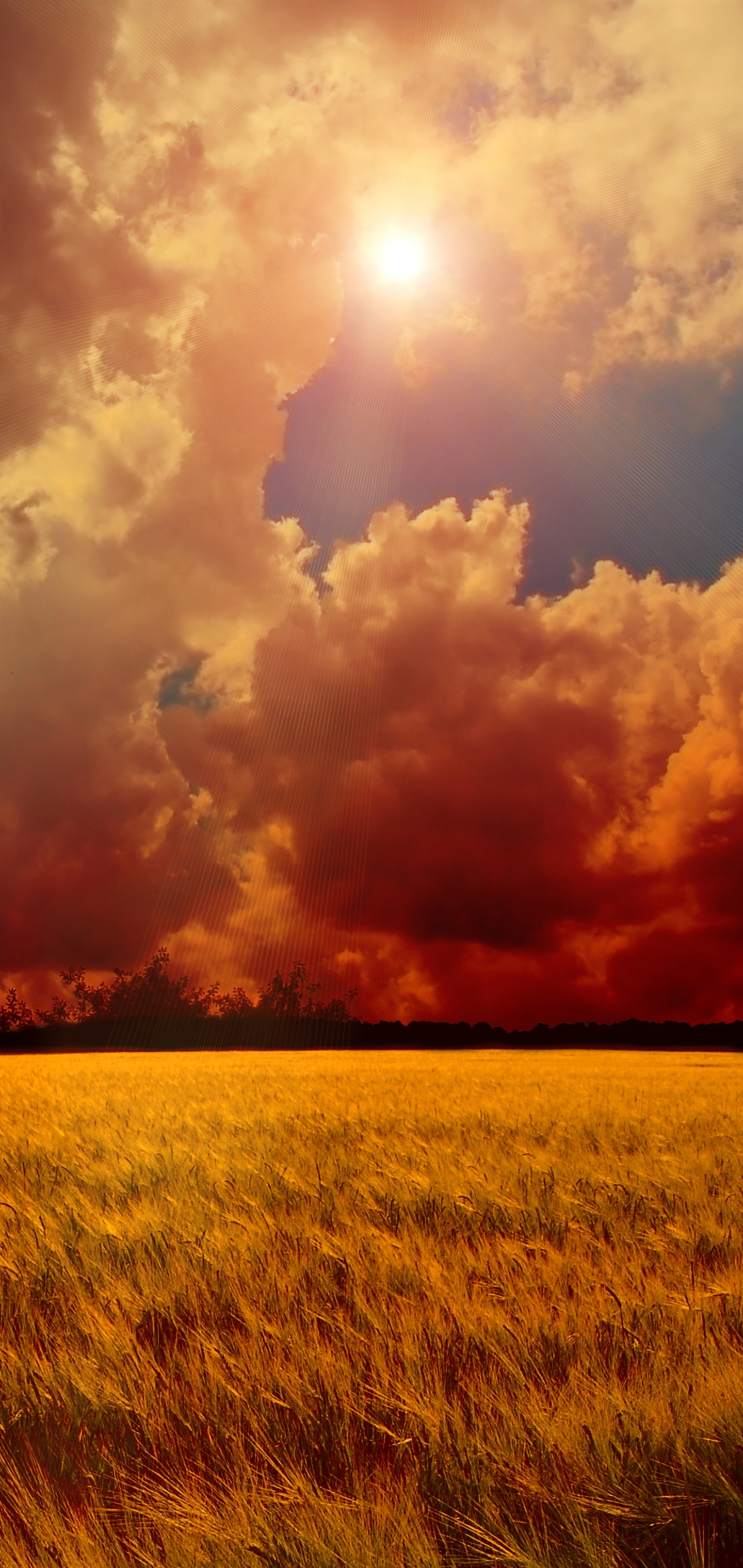 Download mobile wallpaper Landscape, Sky, Sun, Wheat, Earth, Field, Cloud, Manipulation for free.