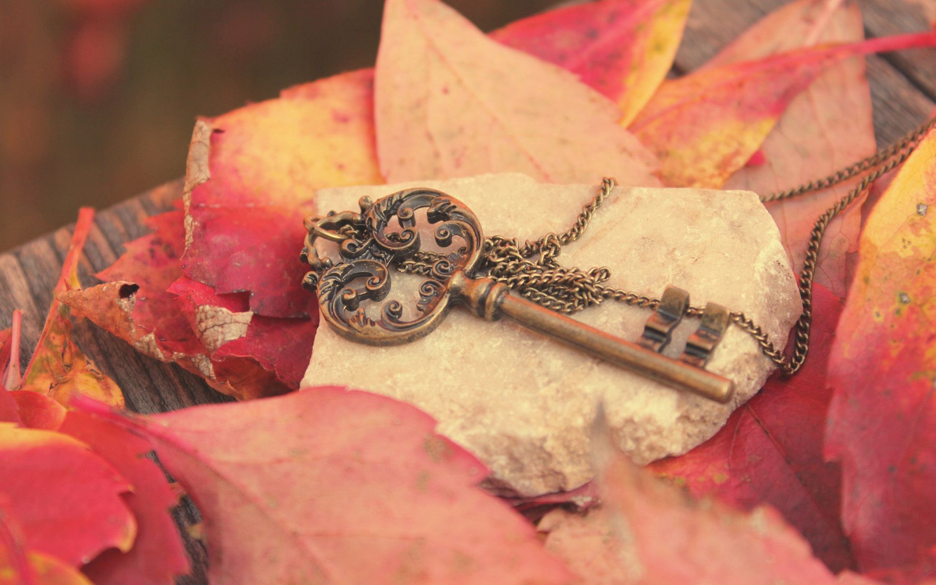 87565 скачать картинку осень, листья, красные, разное, металл, камень, доска, ключ, цепочка - обои и заставки бесплатно