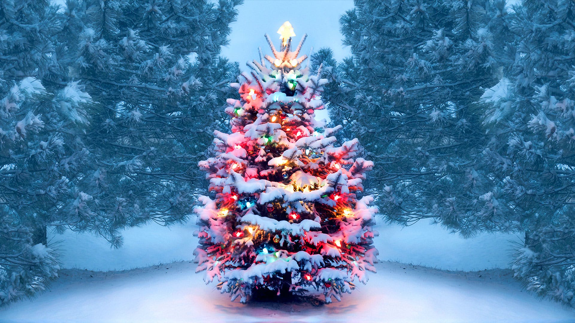 Скачать обои бесплатно Снег, Рождество, Рождественская Елка, Праздничные, Рождественские Огни картинка на рабочий стол ПК