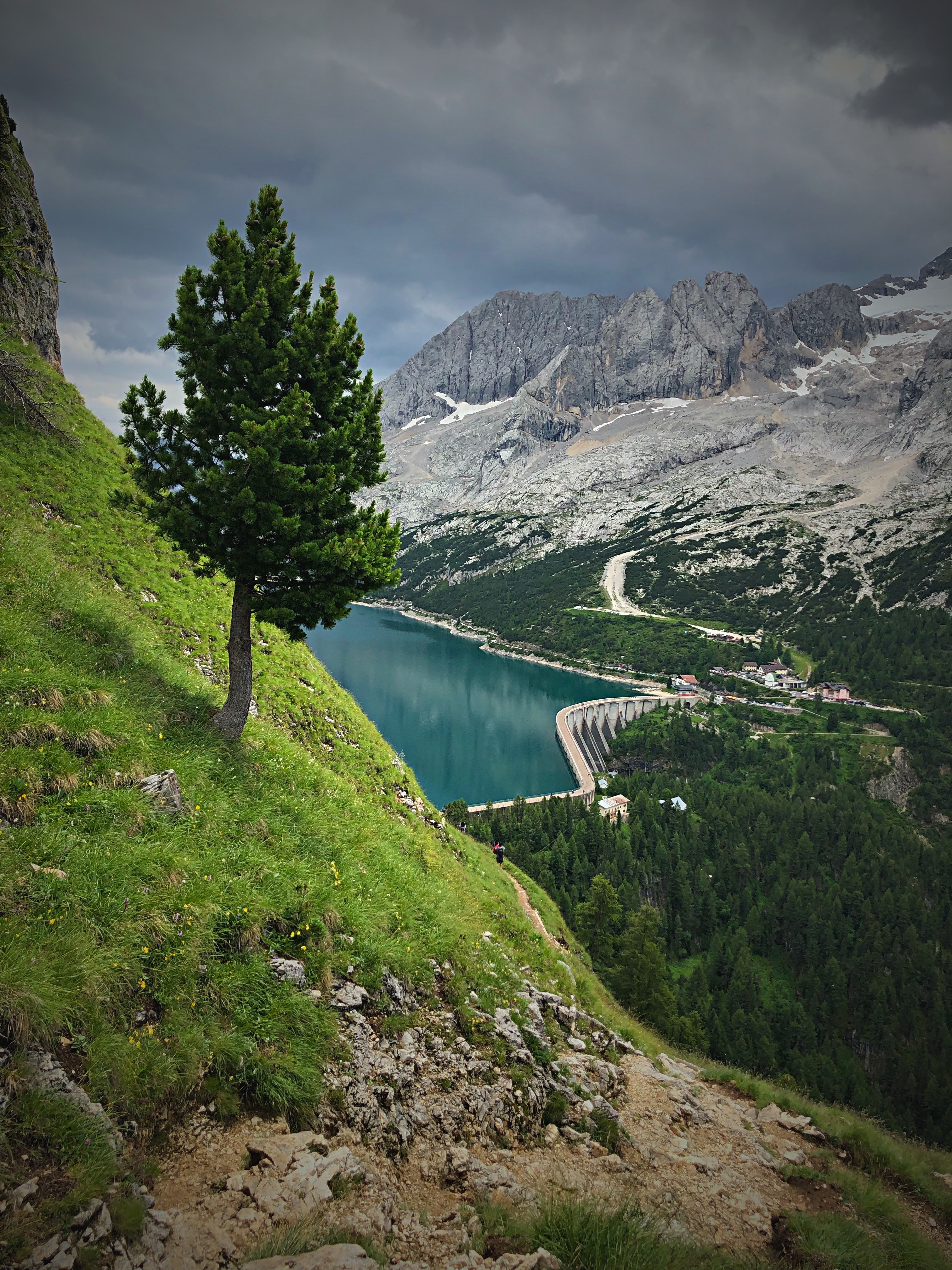 140690 descargar fondo de pantalla paisaje, naturaleza, árboles, montañas, lago, presa: protectores de pantalla e imágenes gratis