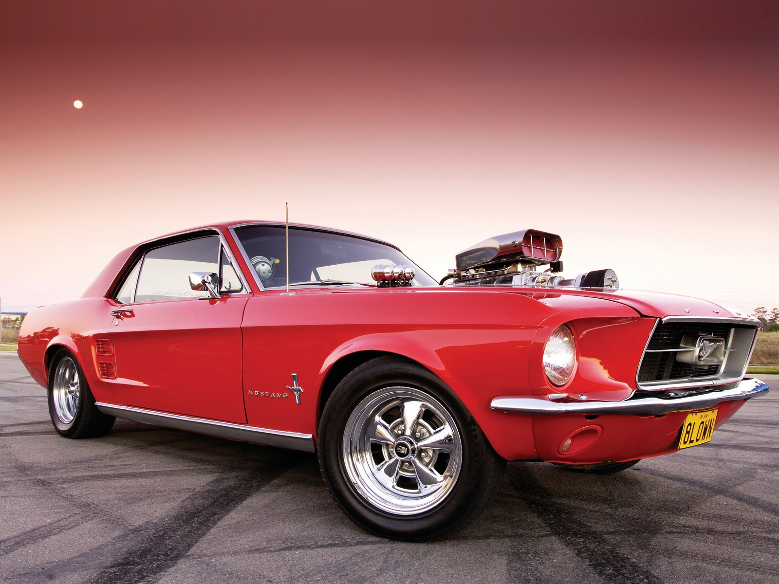 Free Images  Ford Mustang