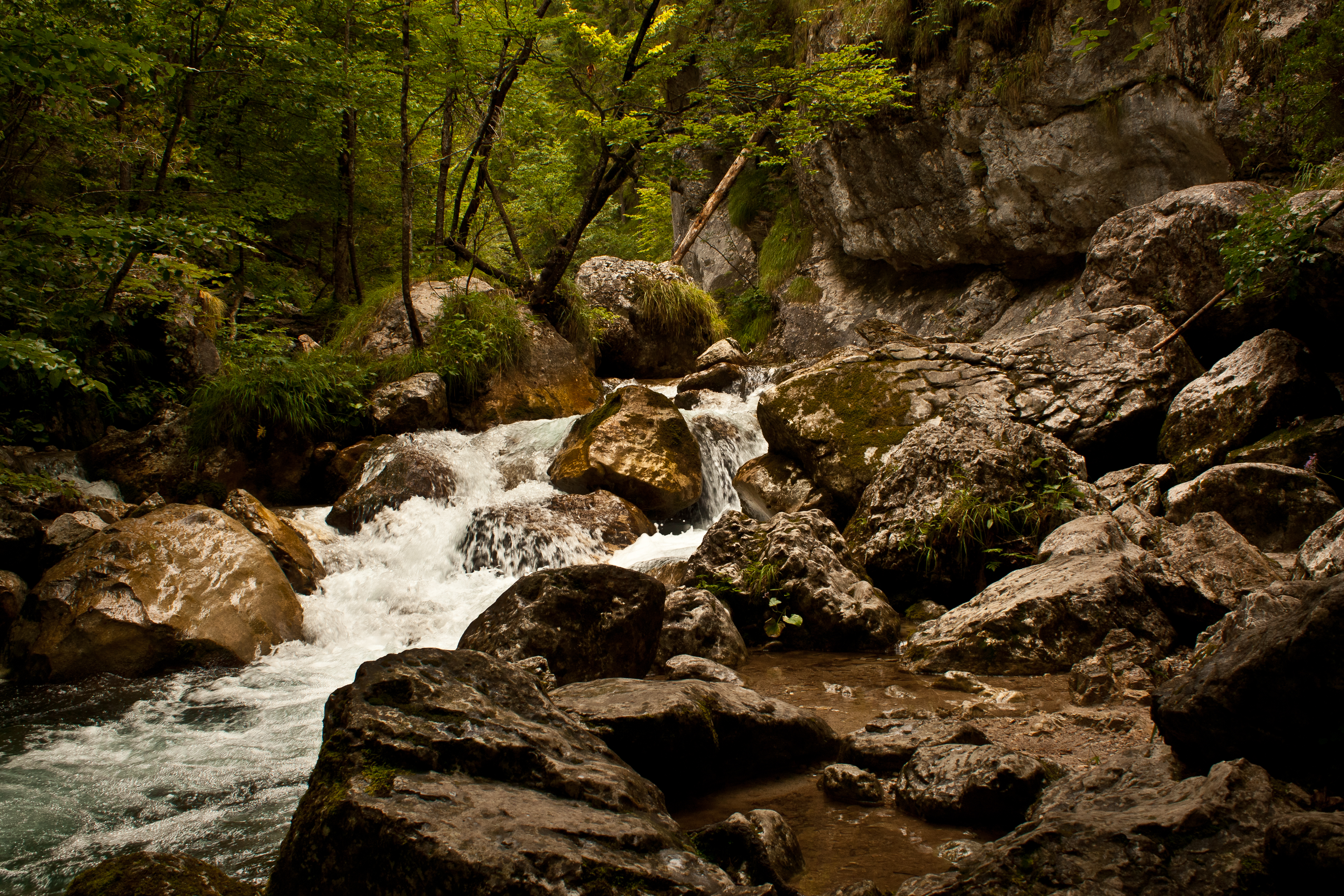 113321 скачать обои ручей, природа, вода, деревья, река, камни, скалы - заставки и картинки бесплатно