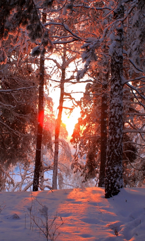 Handy-Wallpaper Winter, Erde/natur kostenlos herunterladen.