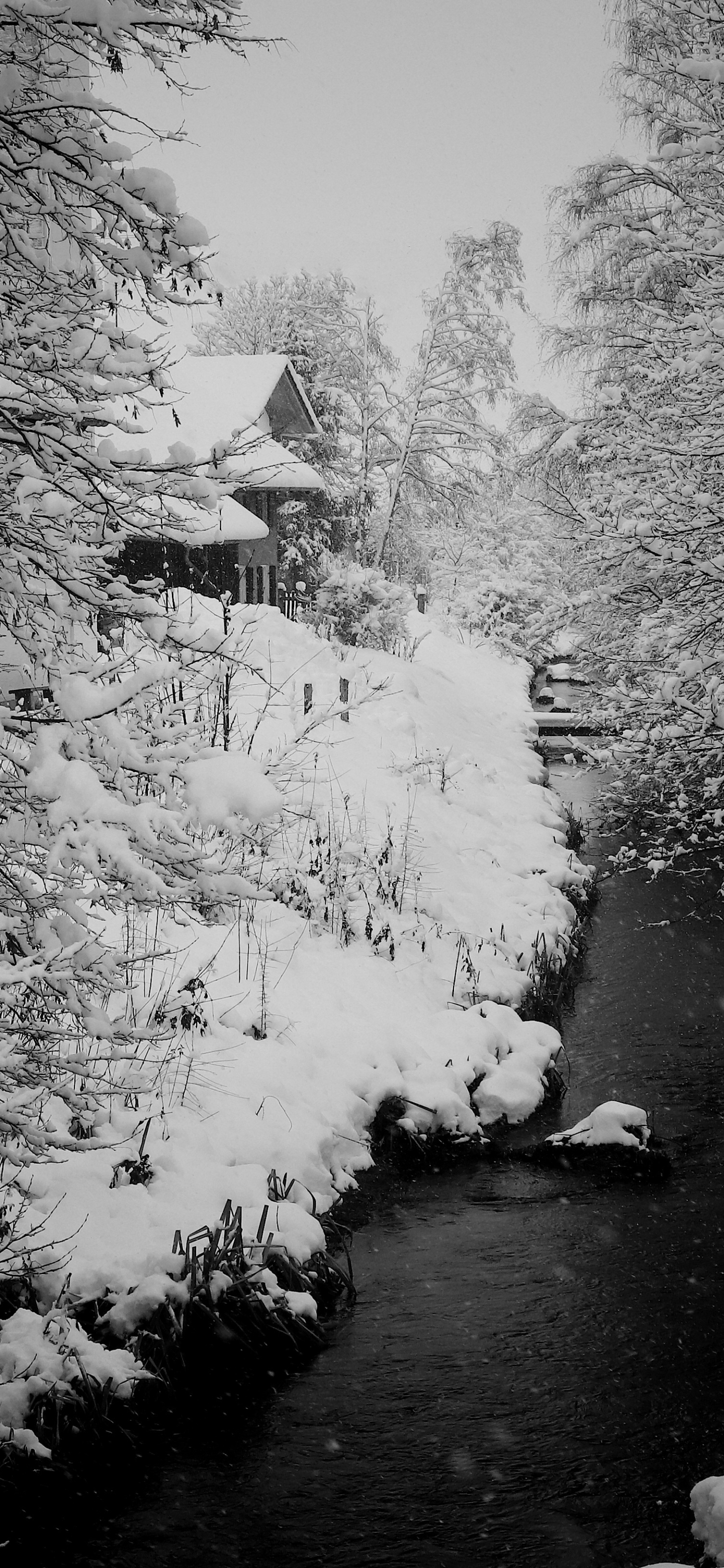 Handy-Wallpaper Winter, Schnee, Fluss, Deutschland, Fotografie kostenlos herunterladen.