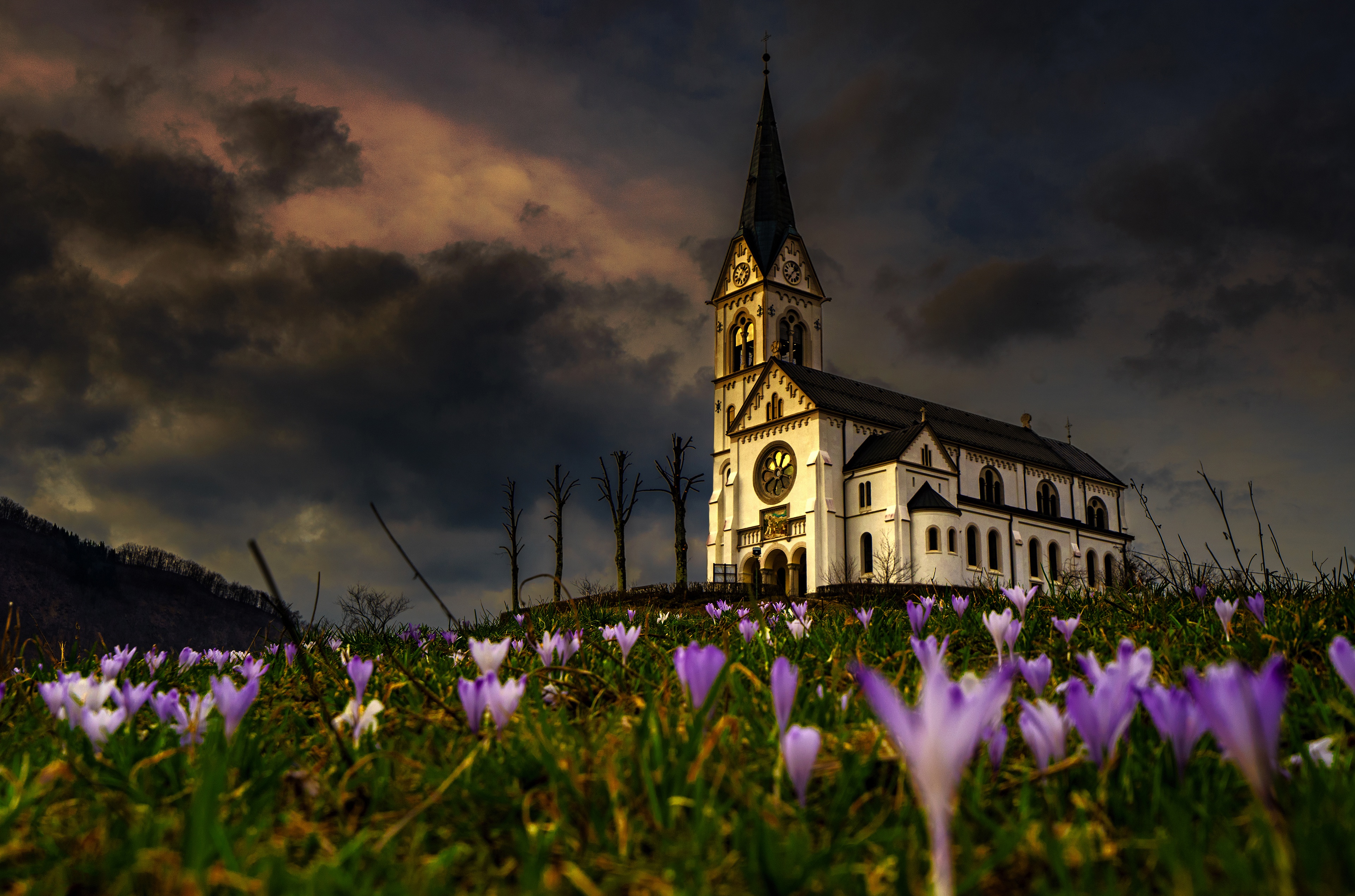 Free download wallpaper Flower, Spring, Church, Crocus, Churches, Religious on your PC desktop