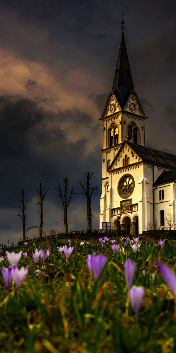 Desktop wallpaper: Religious, Church, Crocus, Flower, Spring, Churches ...