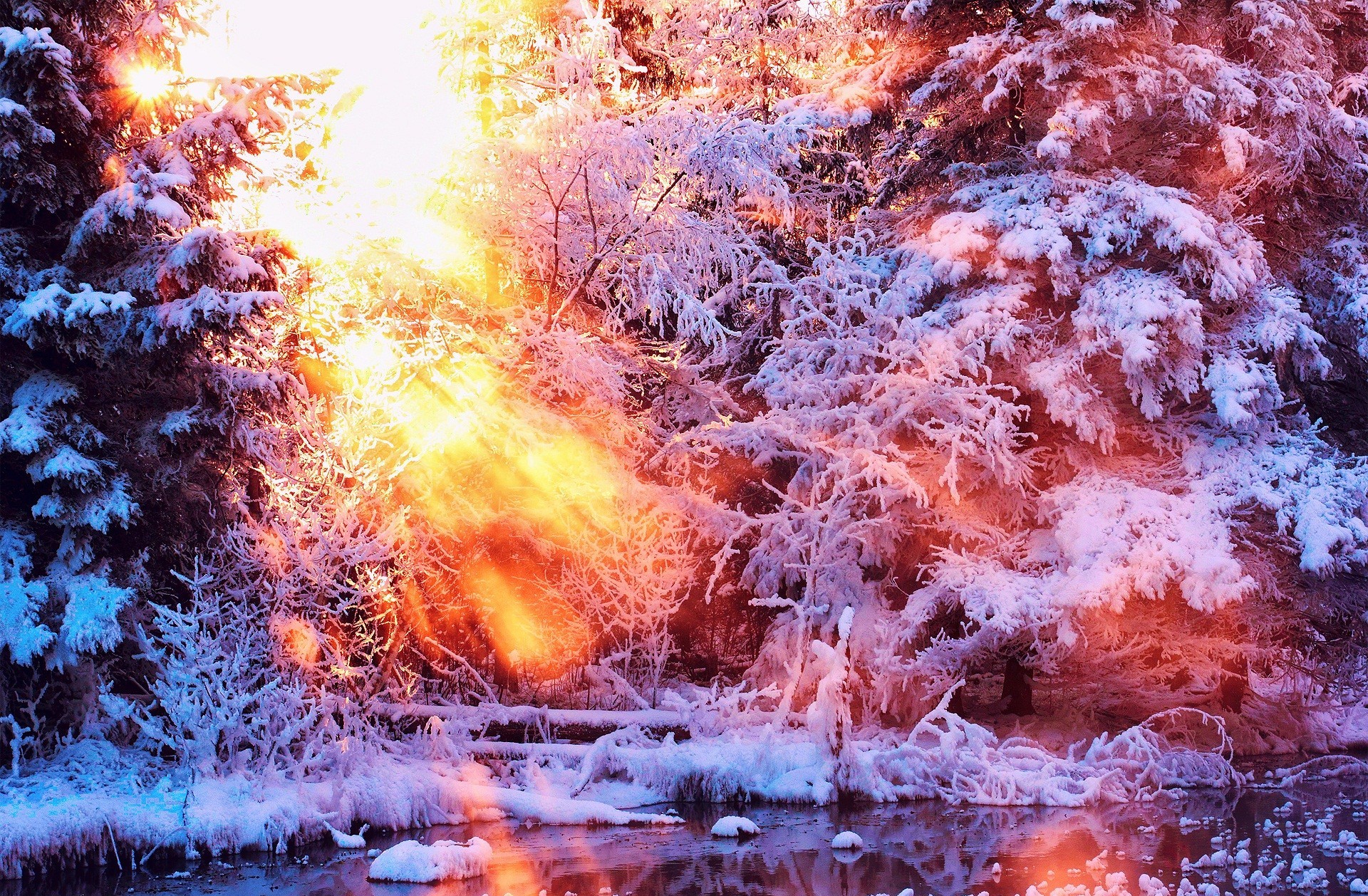 Скачать картинку Зима, Дерево, Земля/природа, Солнечный Лучик в телефон бесплатно.