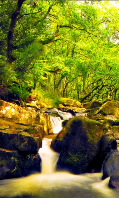 Descarga gratuita de fondo de pantalla para móvil de Naturaleza, Cascadas, Cascada, Bosque, Tierra/naturaleza.