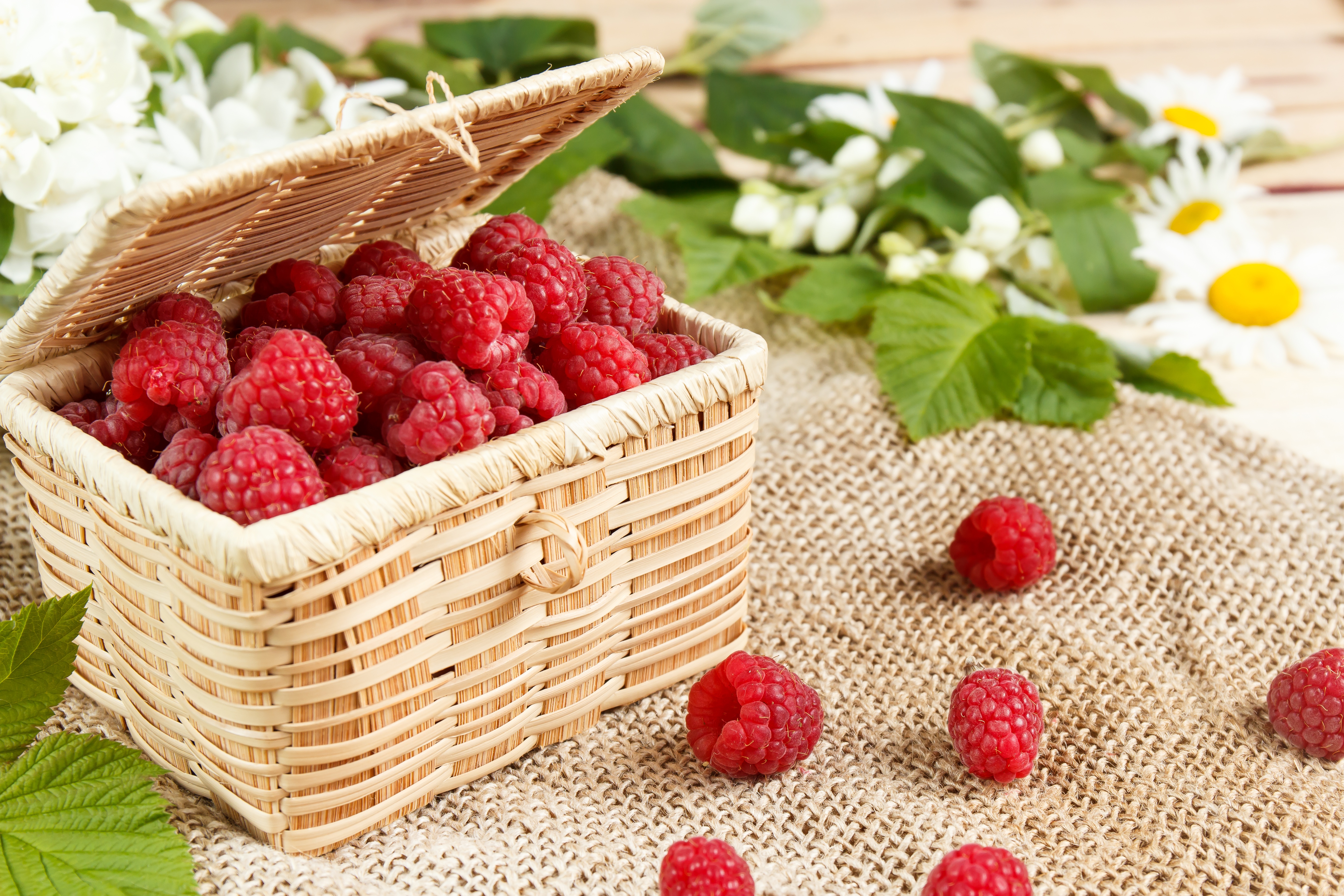 Download mobile wallpaper Fruits, Food, Raspberry, Still Life, Berry, Fruit, Basket for free.