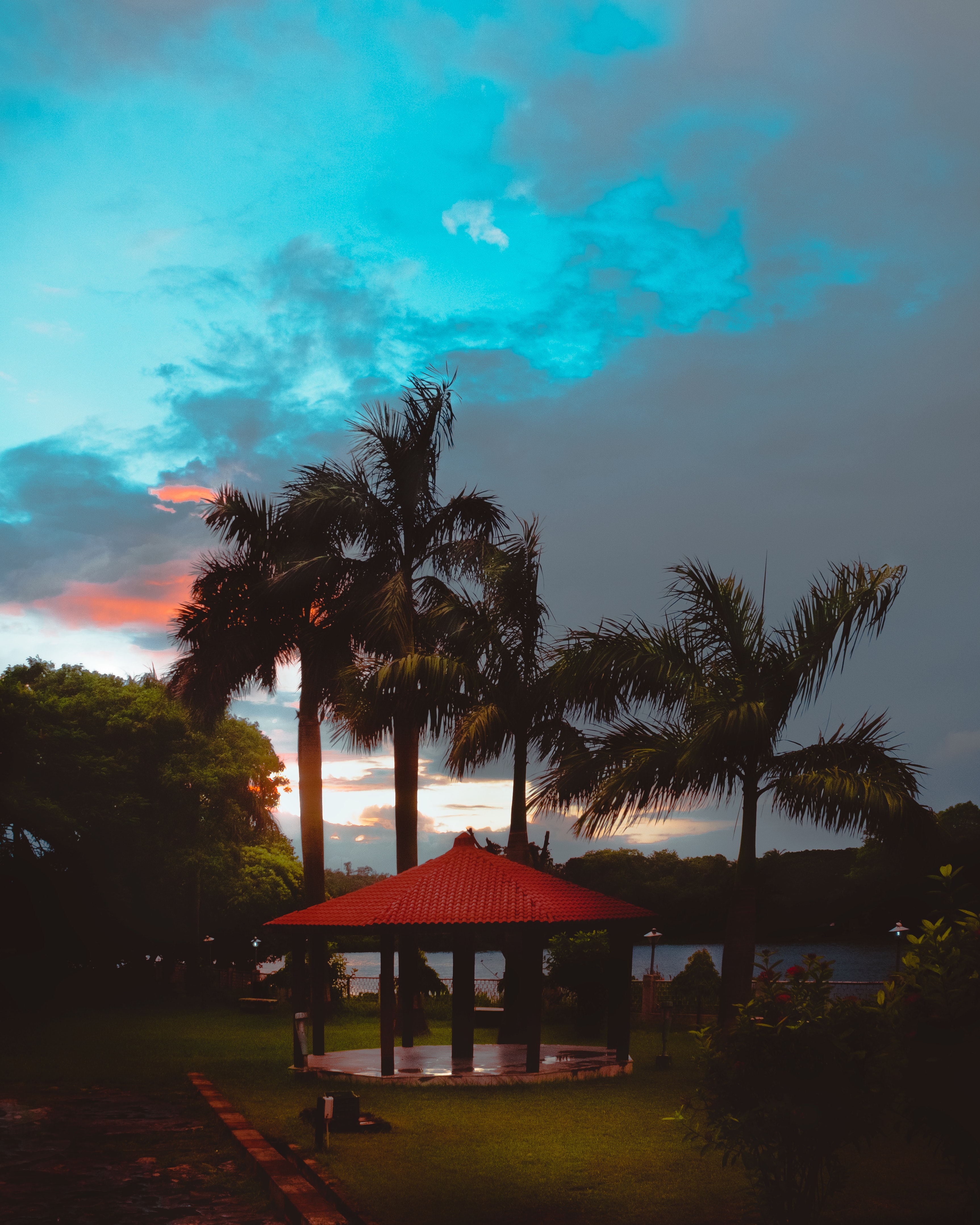 109354 Hintergrundbild herunterladen natur, sunset, sky, palms, tropen, alkoven, bower - Bildschirmschoner und Bilder kostenlos